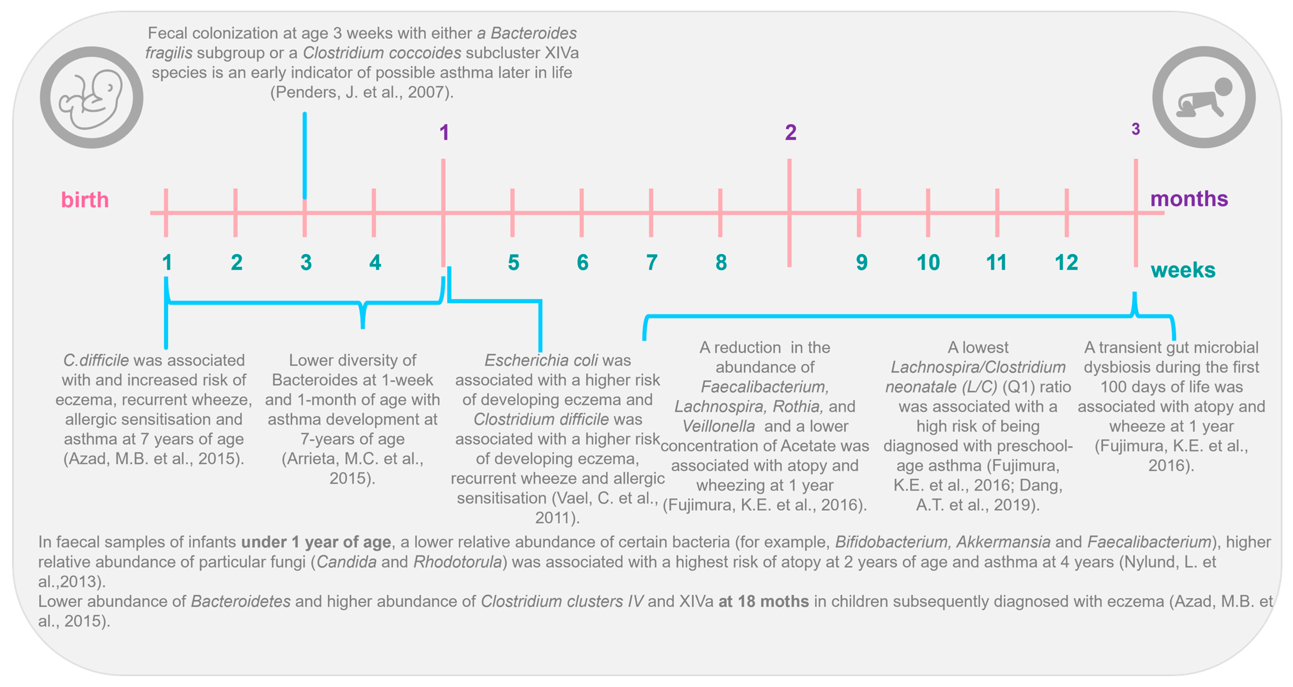 Microorganisms 12 01471 g001