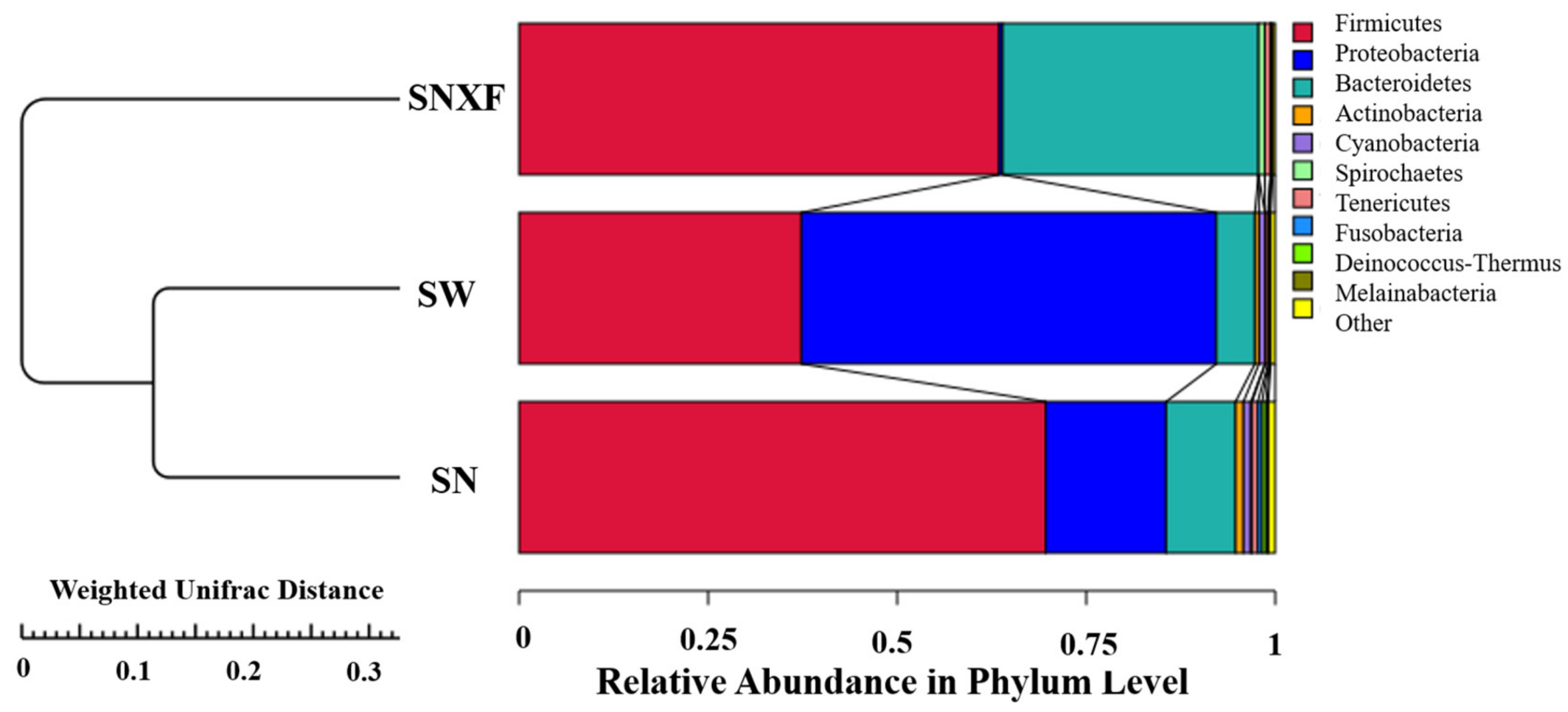 Microorganisms 12 01472 g007