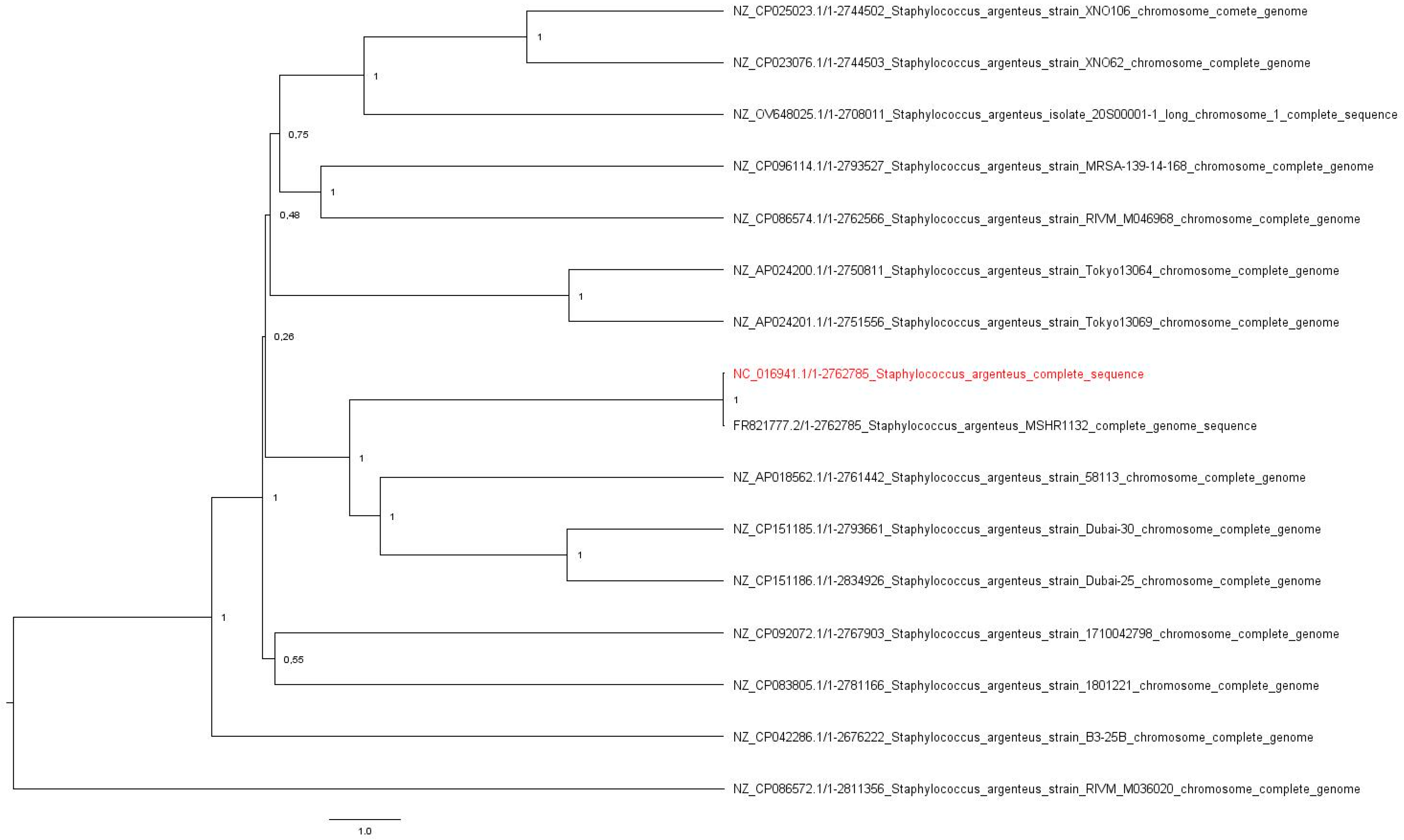 Microorganisms 12 01485 g001