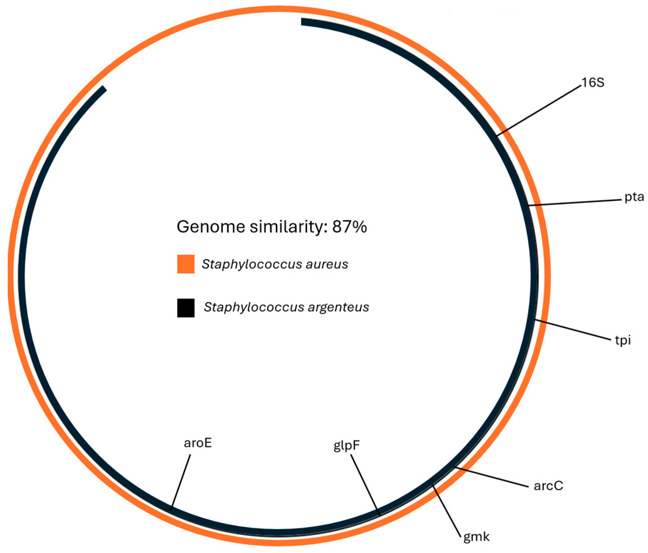 Microorganisms 12 01485 g002