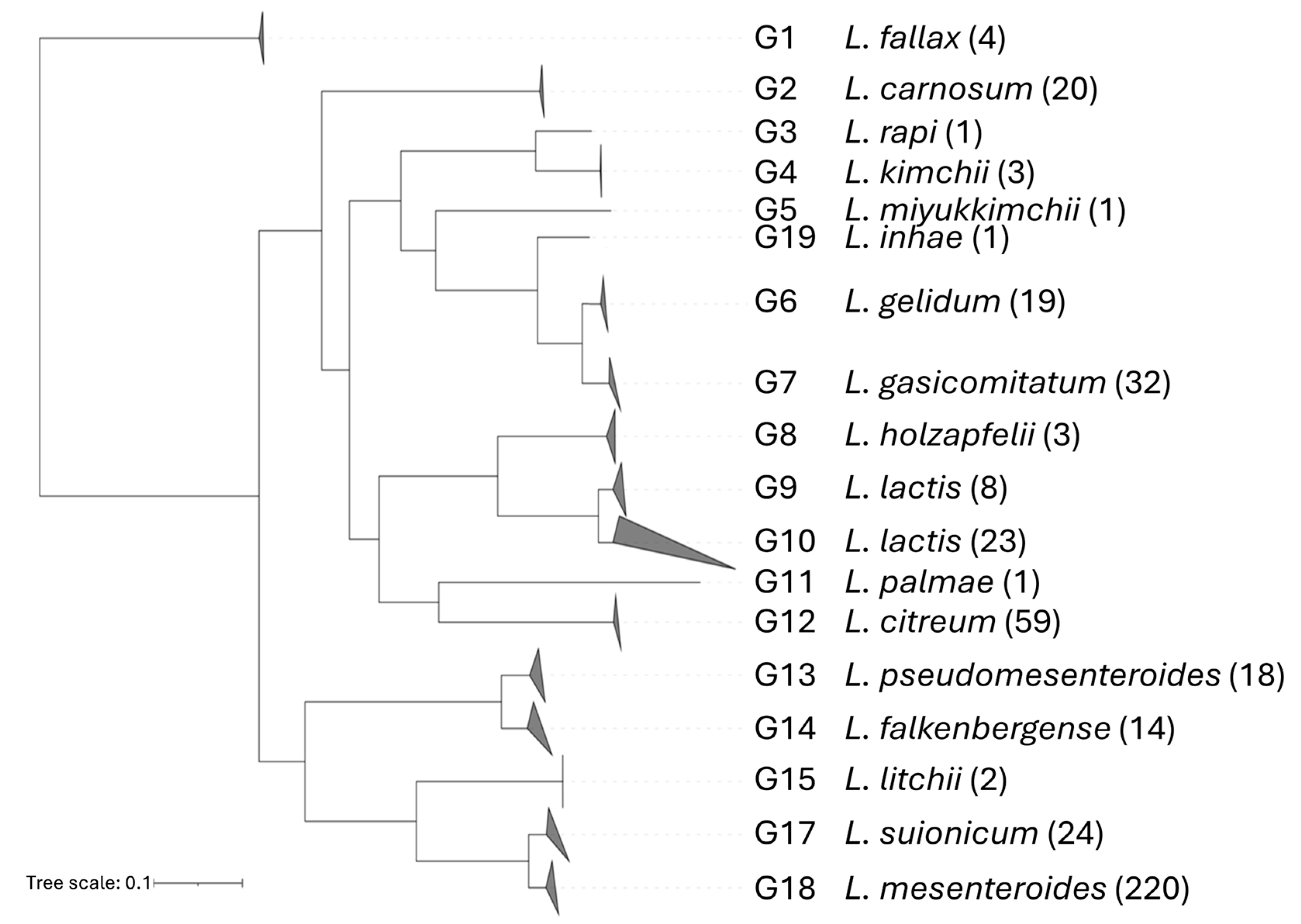Microorganisms 12 01487 g001