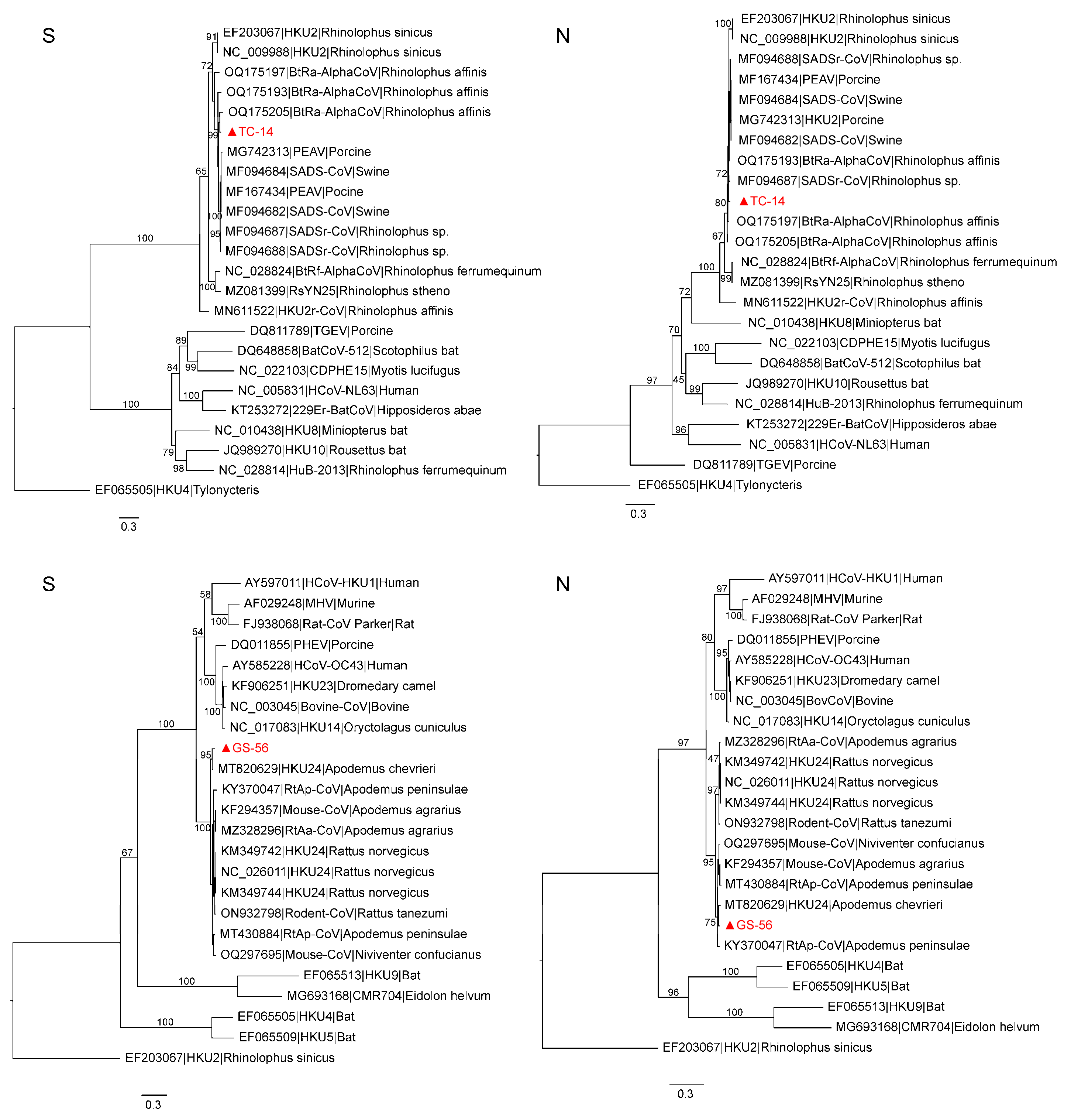 Microorganisms 12 01490 g002