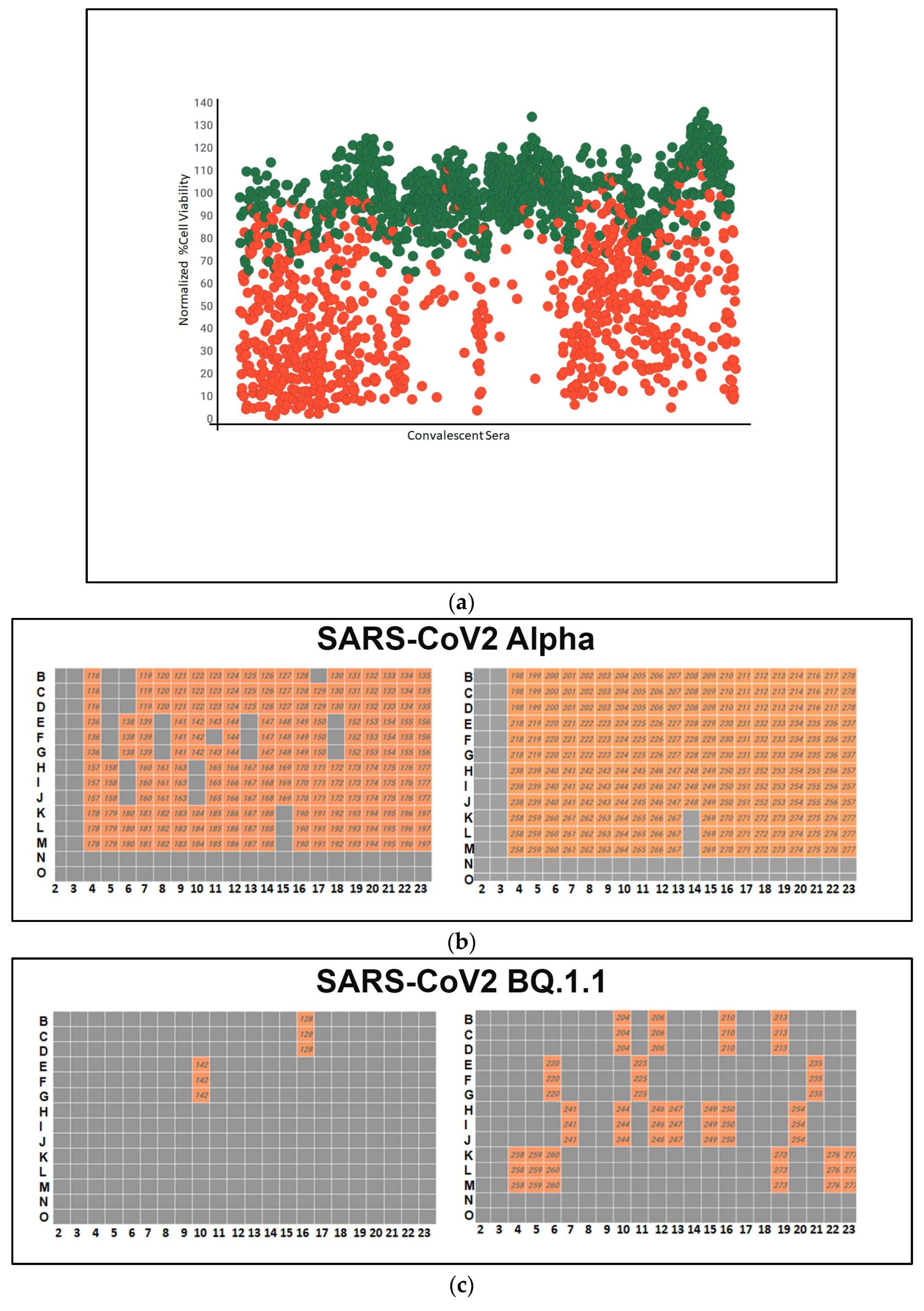 Microorganisms 12 01503 g003a