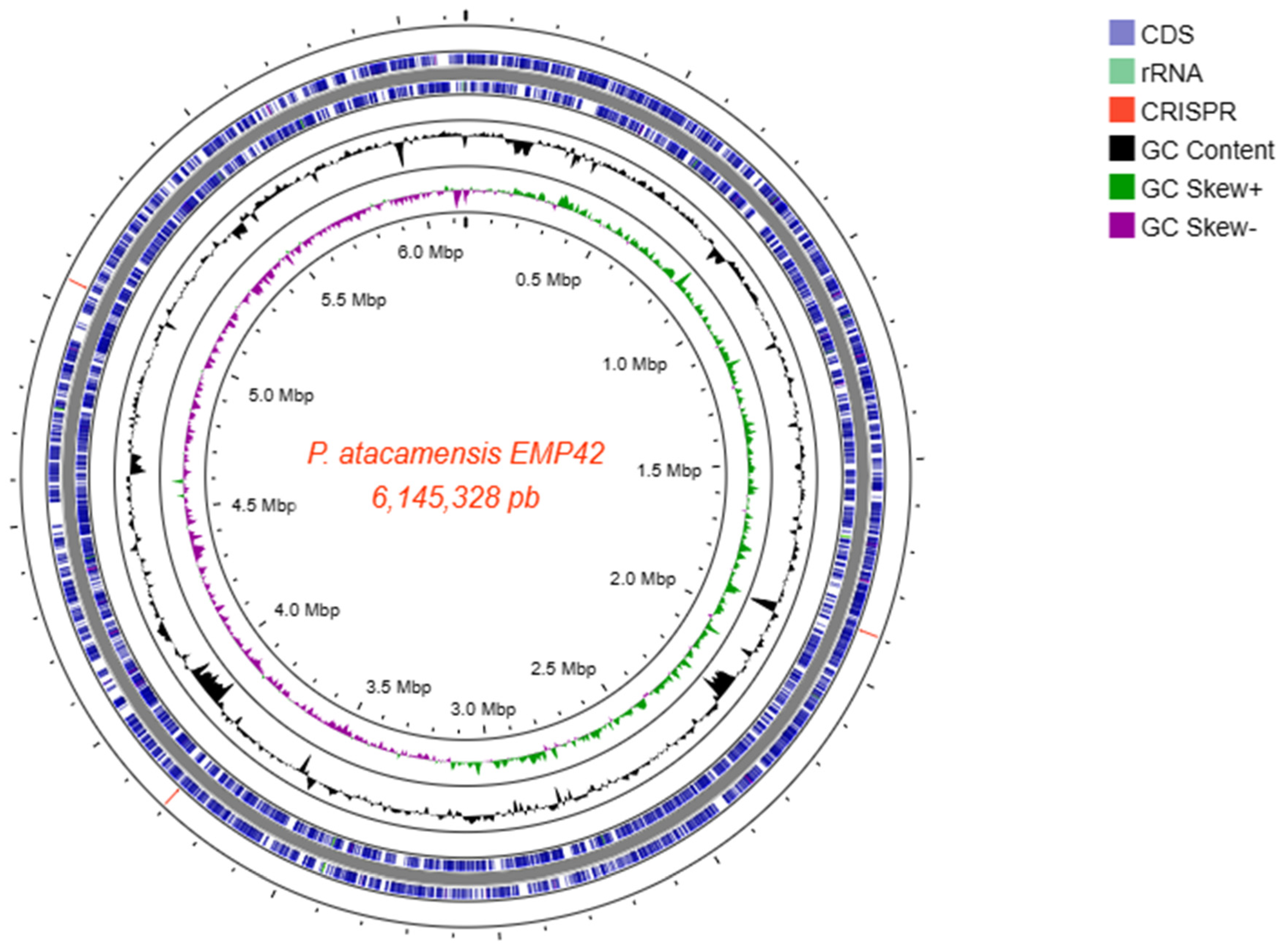 Microorganisms 12 01512 g002