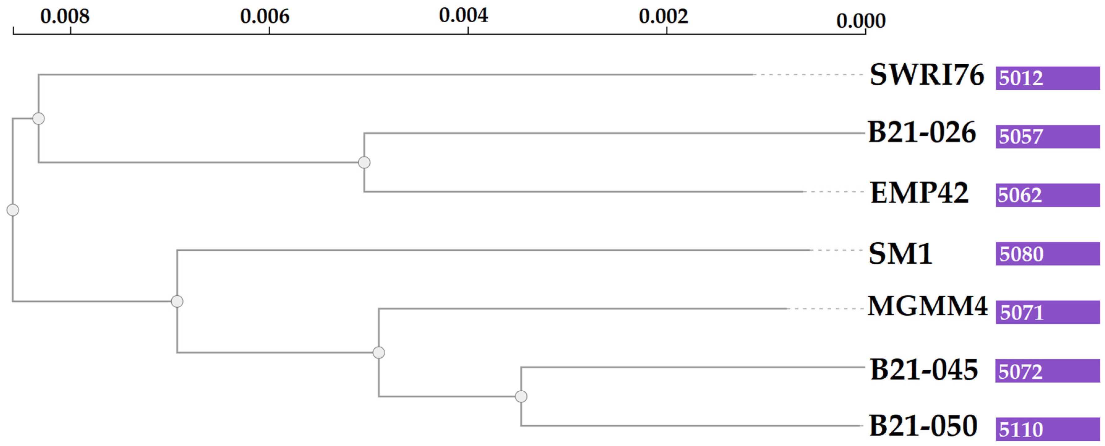 Microorganisms 12 01512 g004