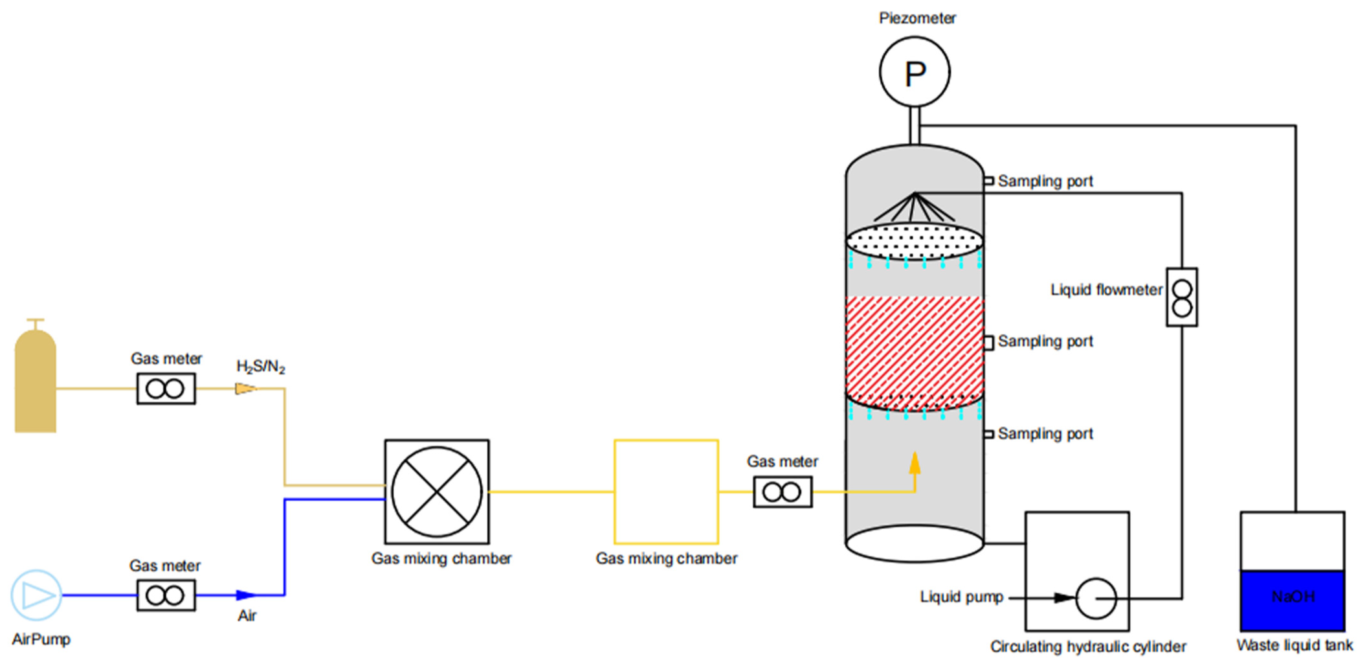 Microorganisms 12 01513 g001