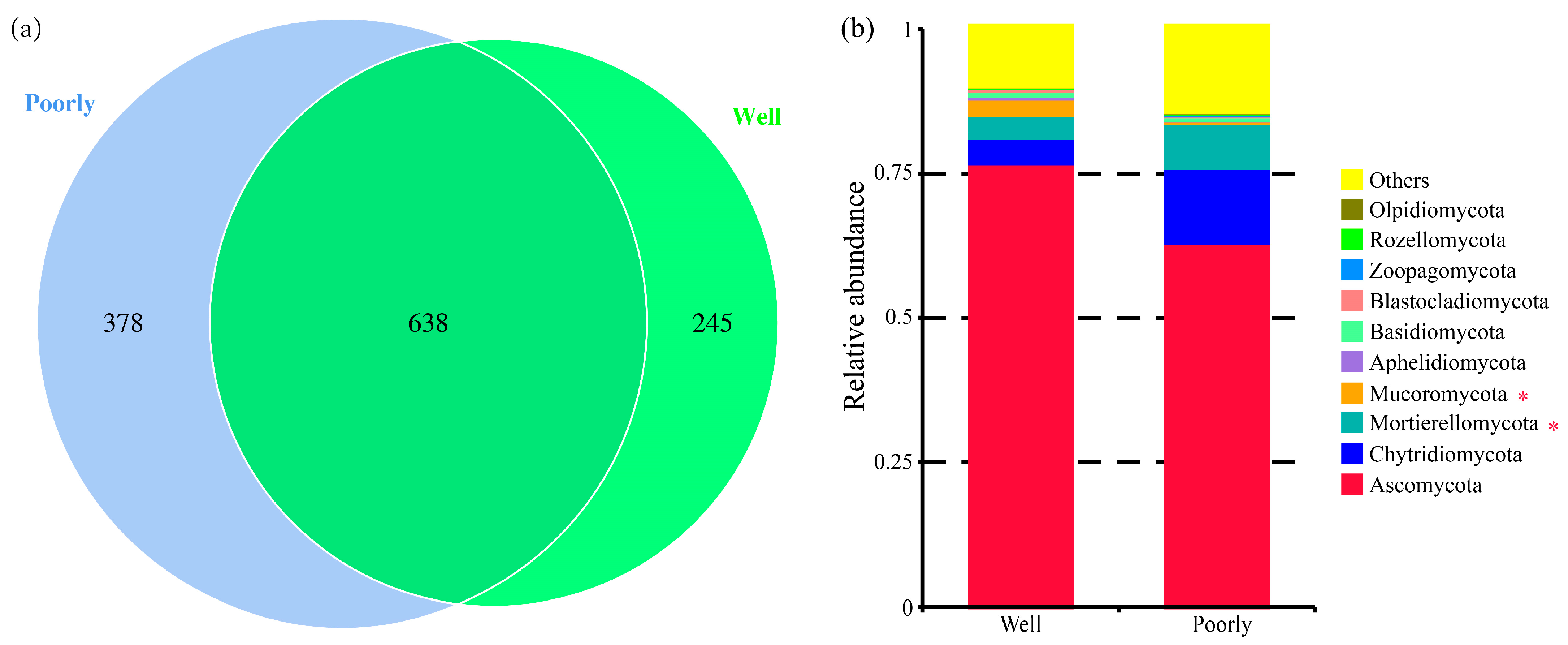 Microorganisms 12 01516 g005