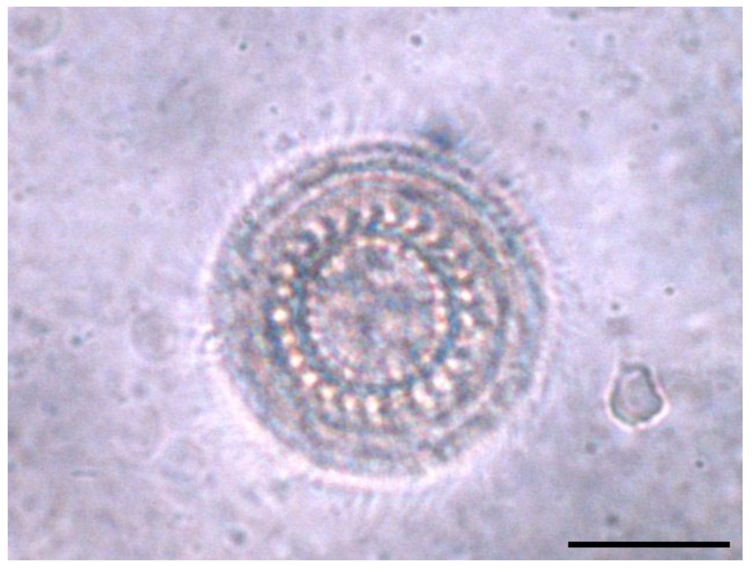 Microorganisms 12 01519 g002