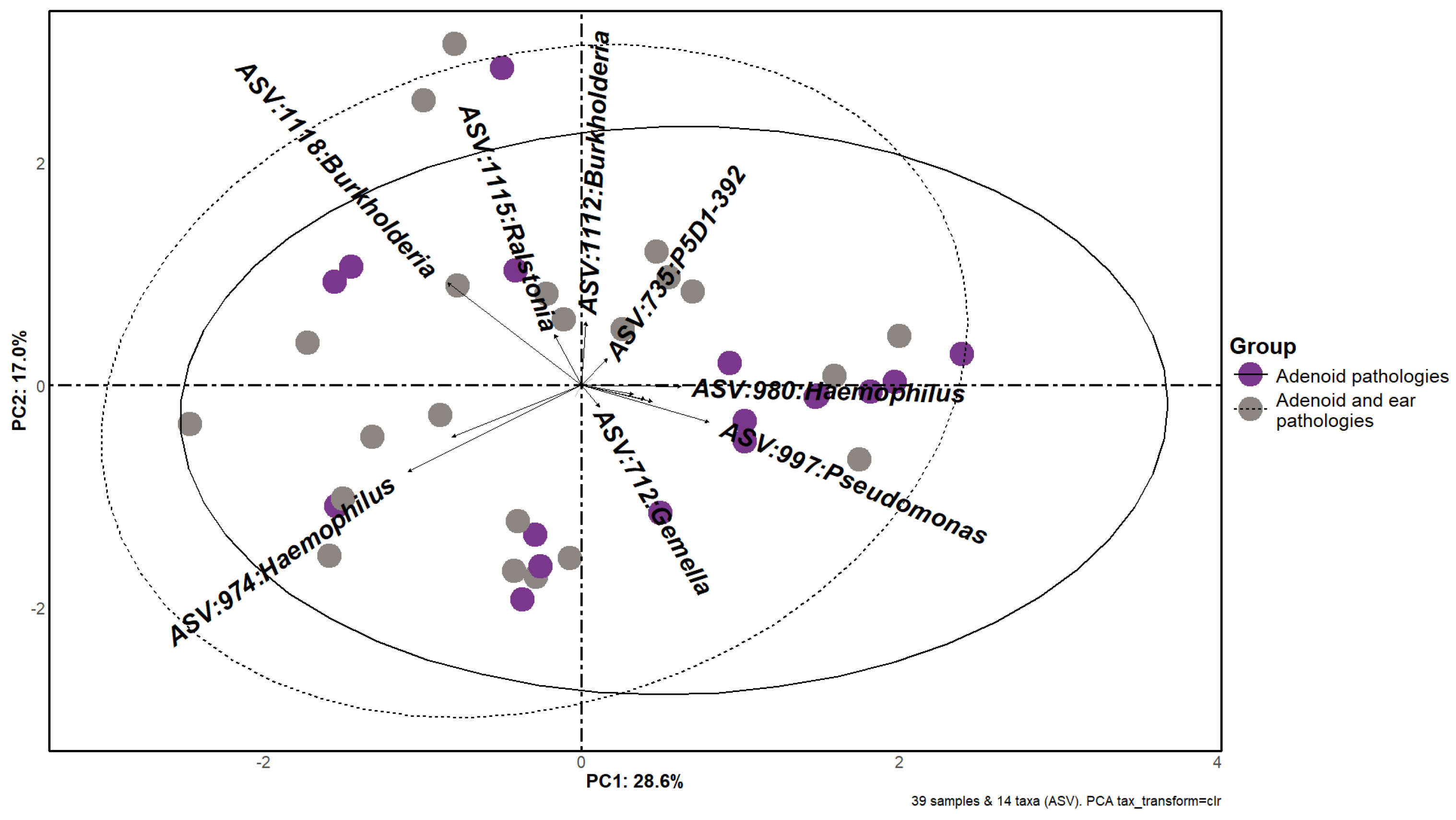 Microorganisms 12 01523 g002