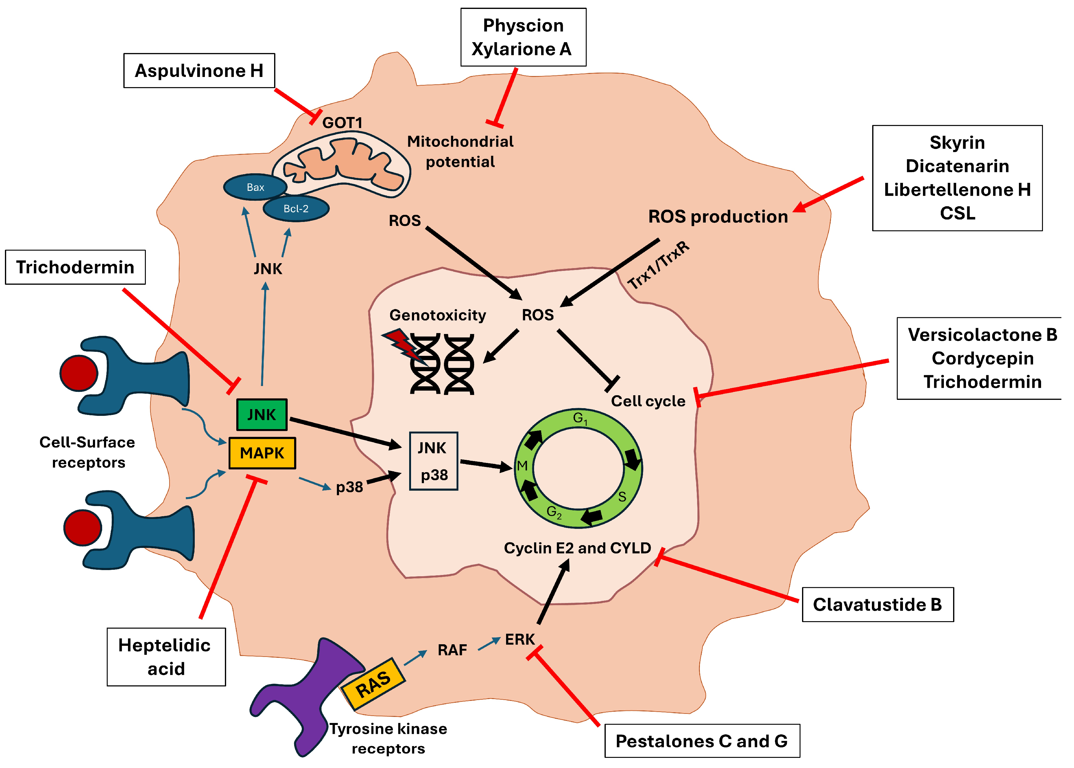 Microorganisms 12 01527 g006