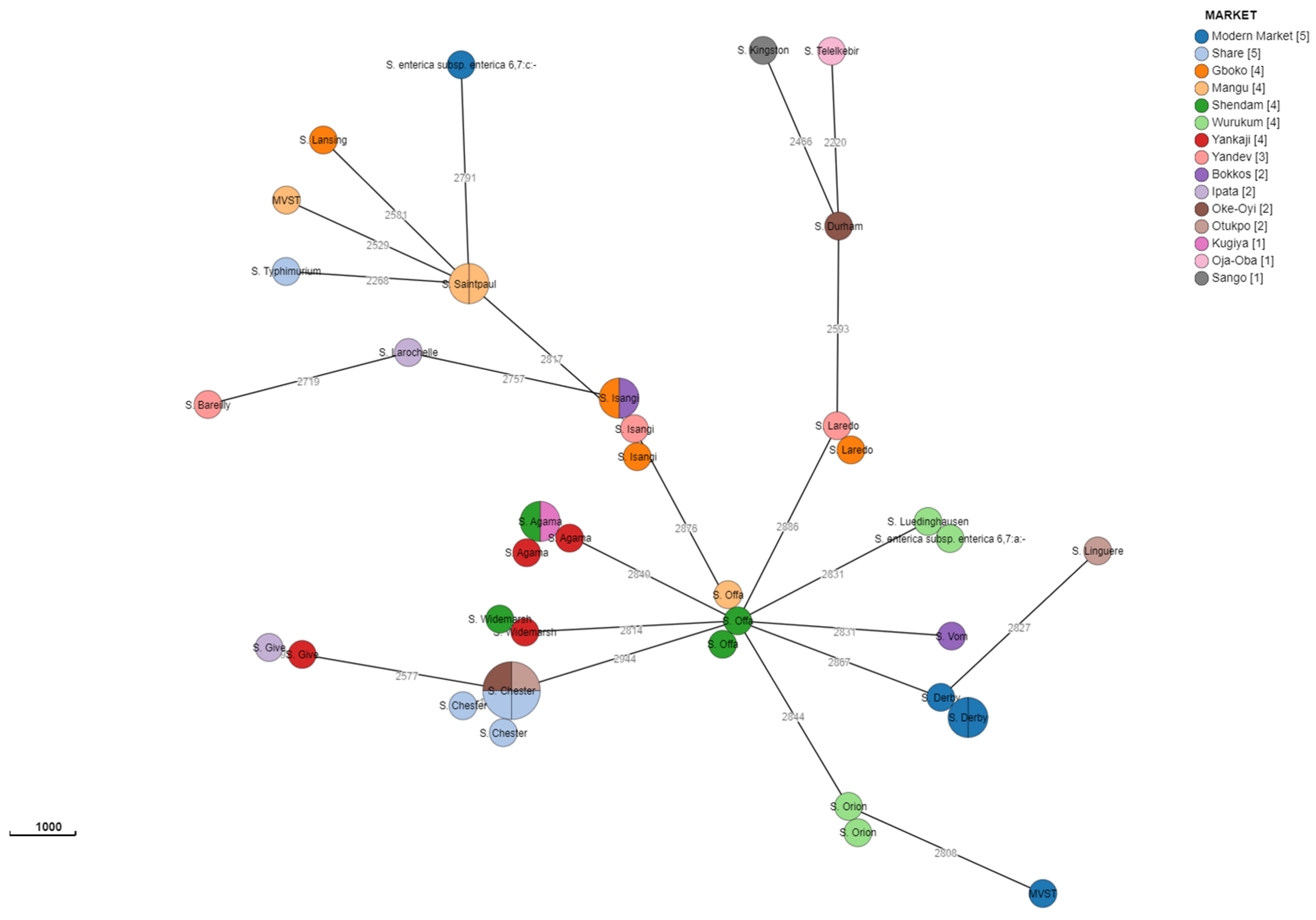 Microorganisms 12 01529 g004