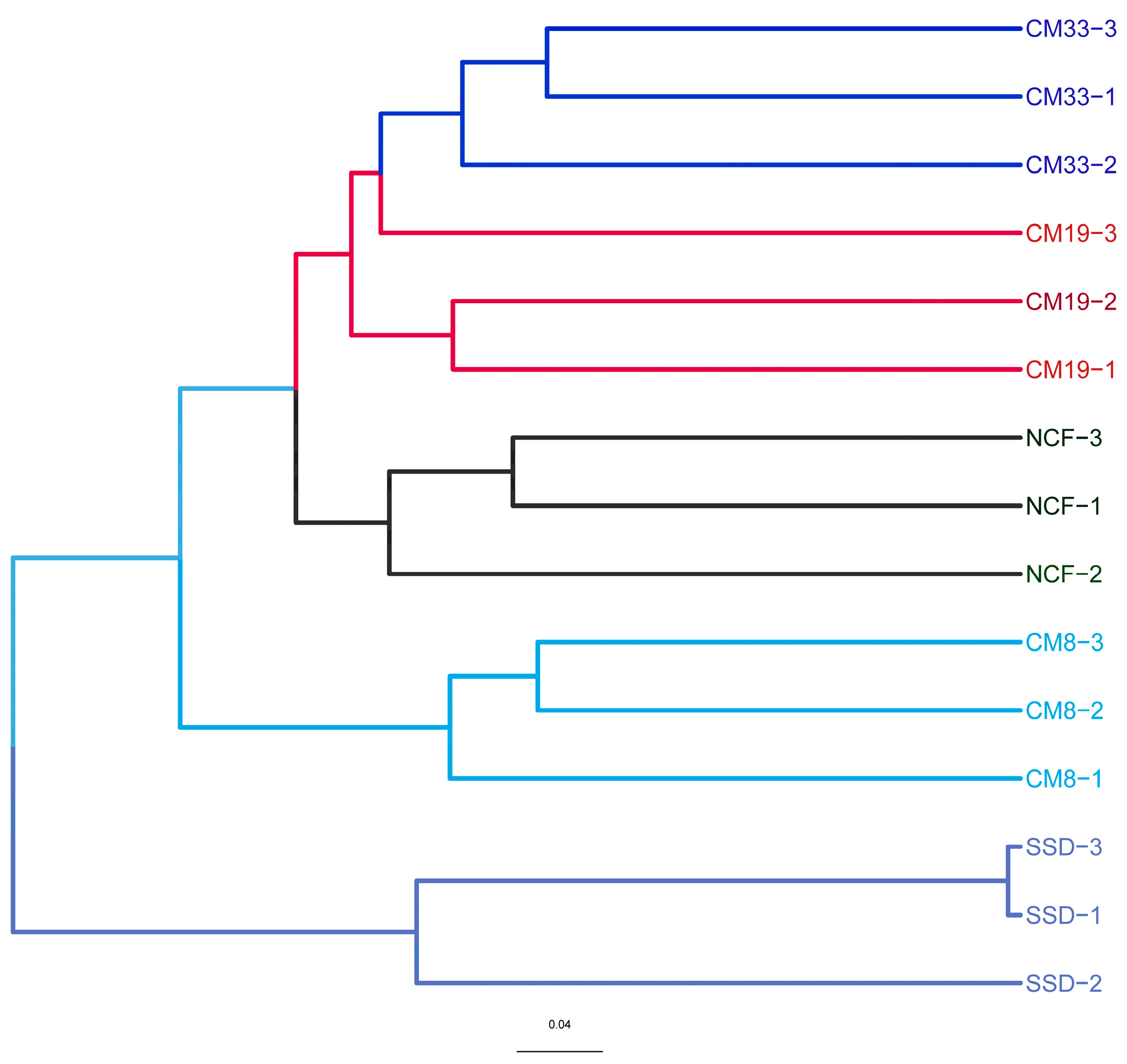 Microorganisms 12 01545 g001