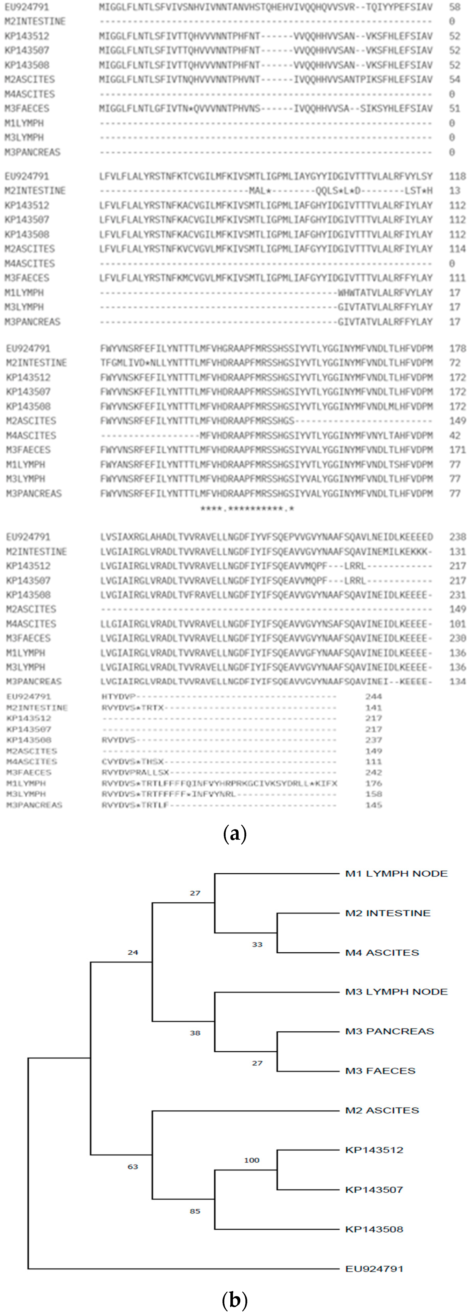 Microorganisms 12 01557 g002