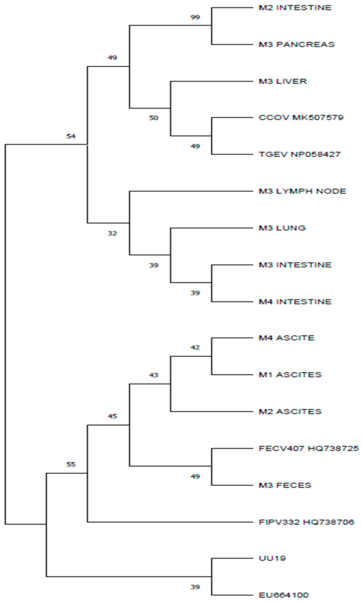 Microorganisms 12 01557 g004