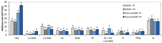 Microorganisms 12 01560 g002