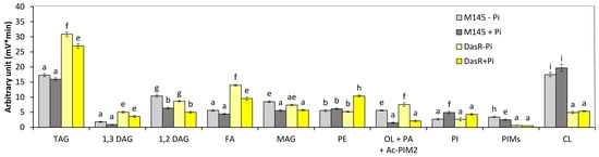 Microorganisms 12 01560 g003