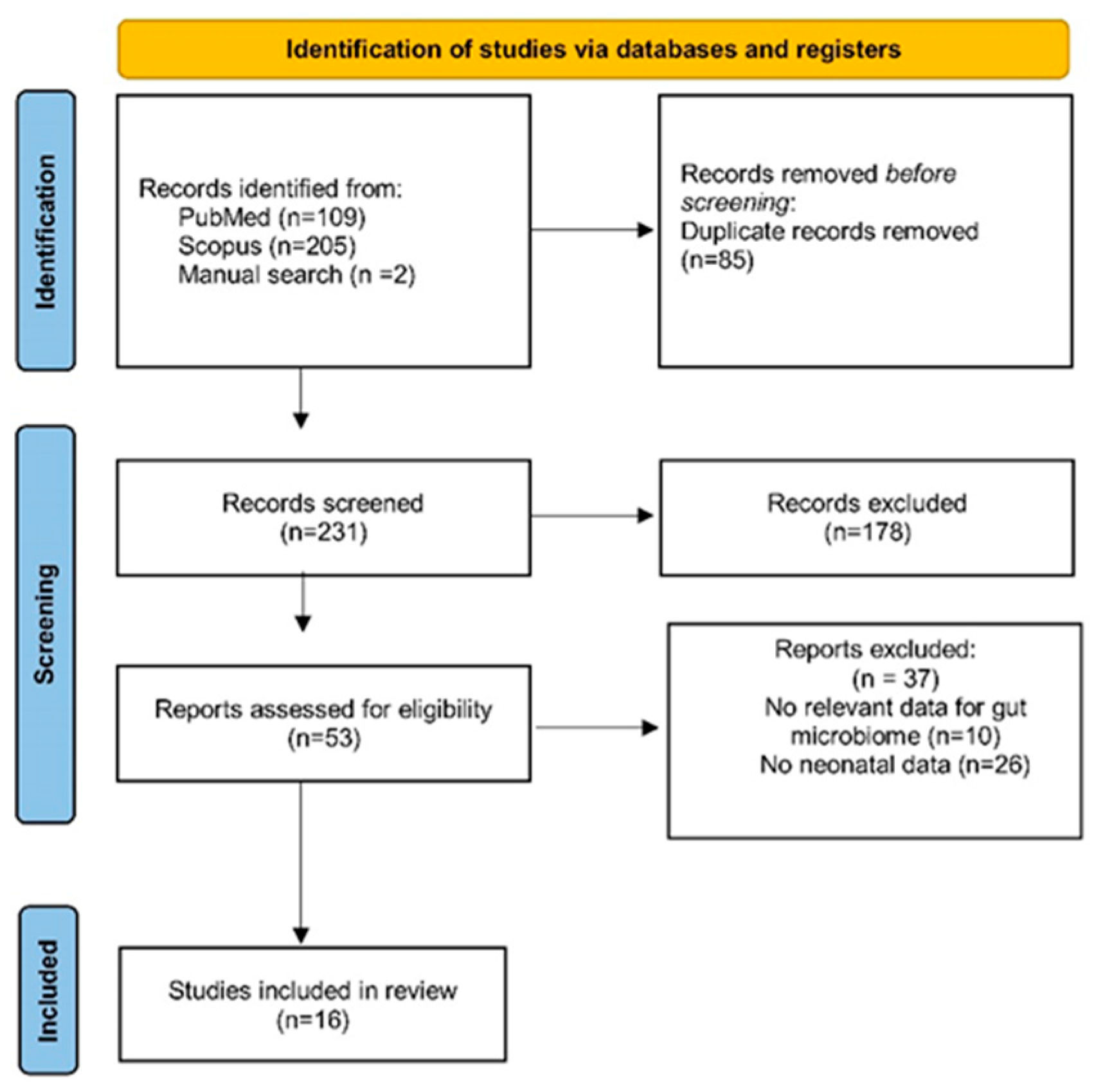 Microorganisms 12 01564 g001