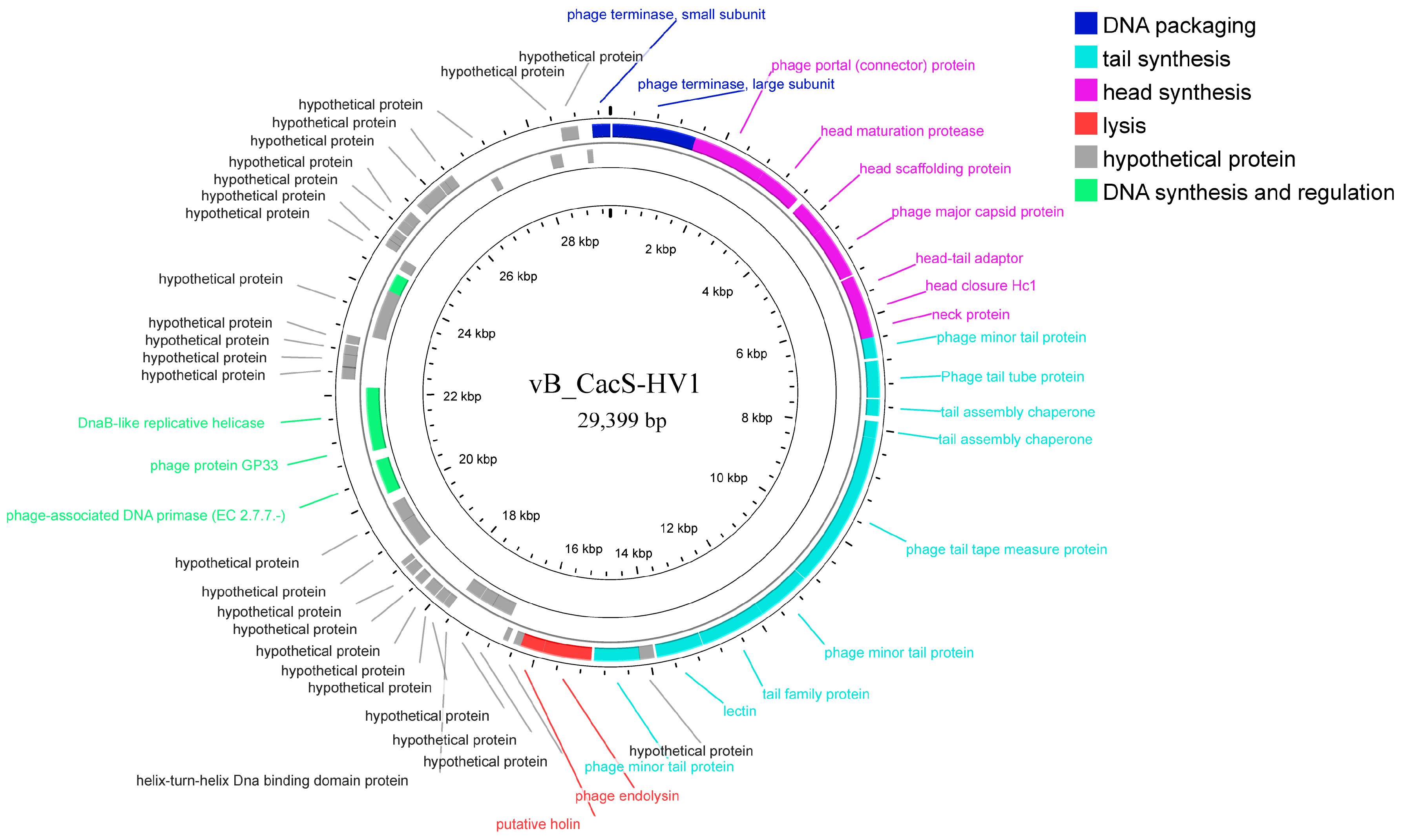 Microorganisms 12 01566 g003
