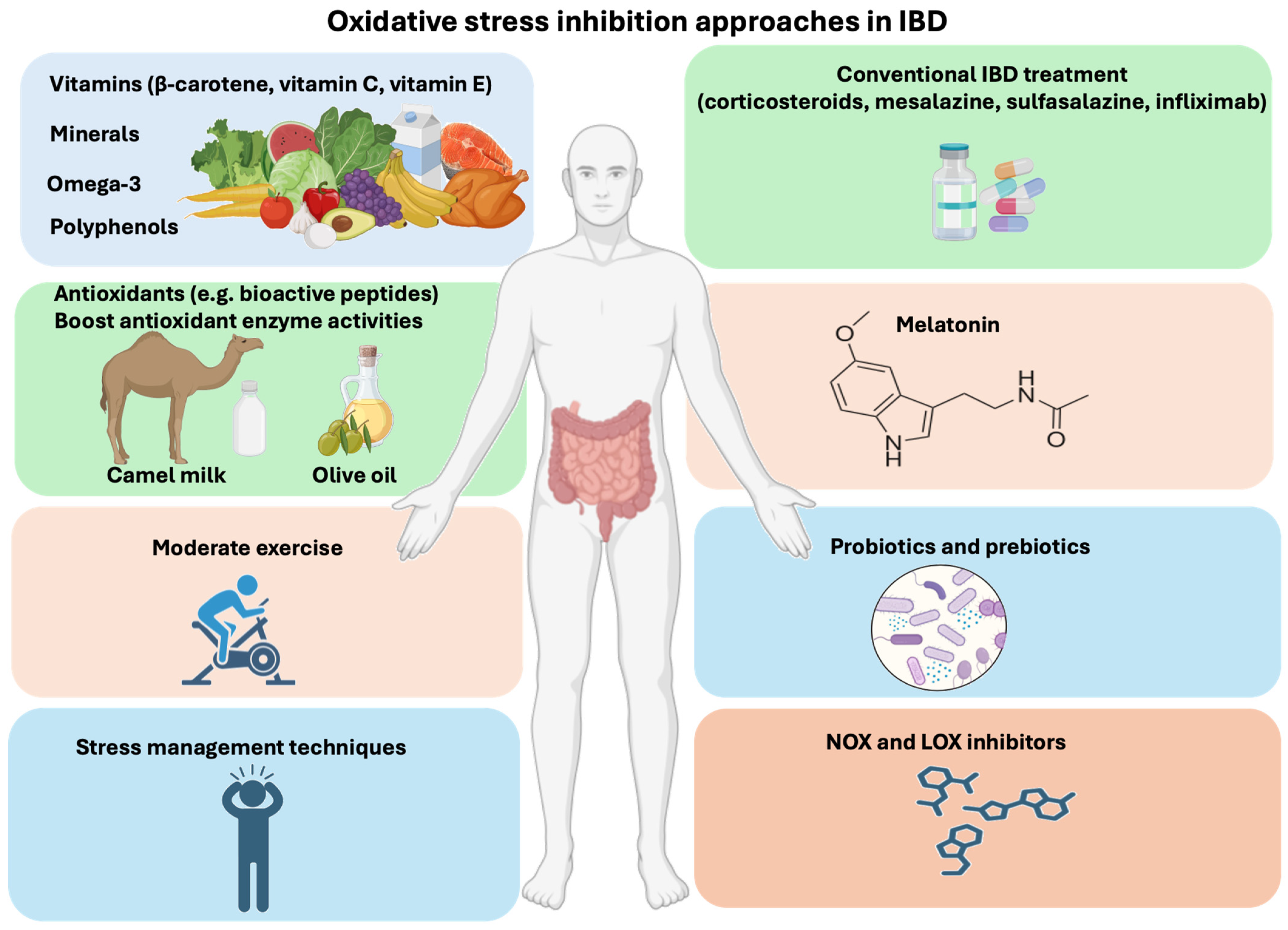 Microorganisms 12 01570 g002