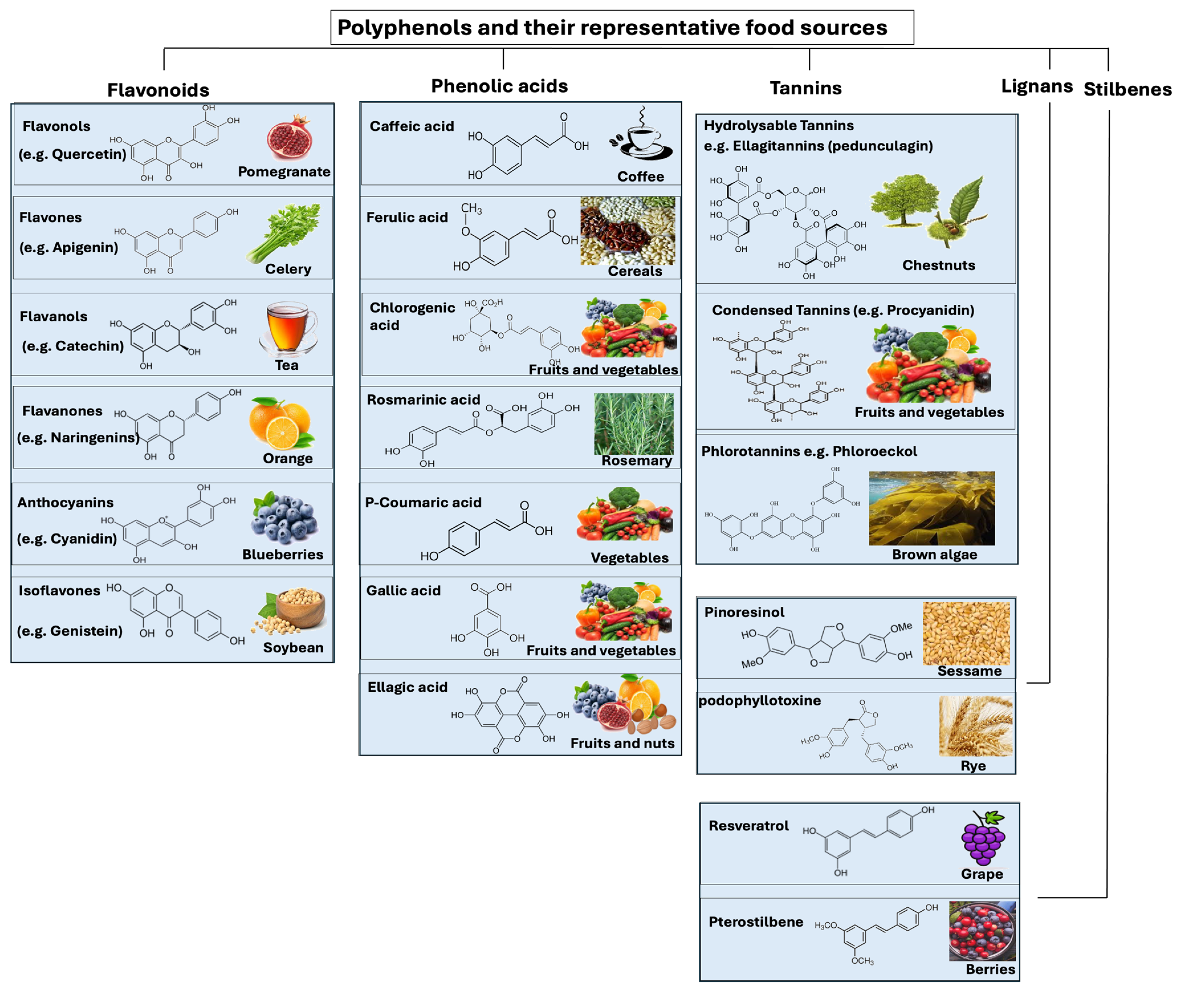 Microorganisms 12 01570 g003