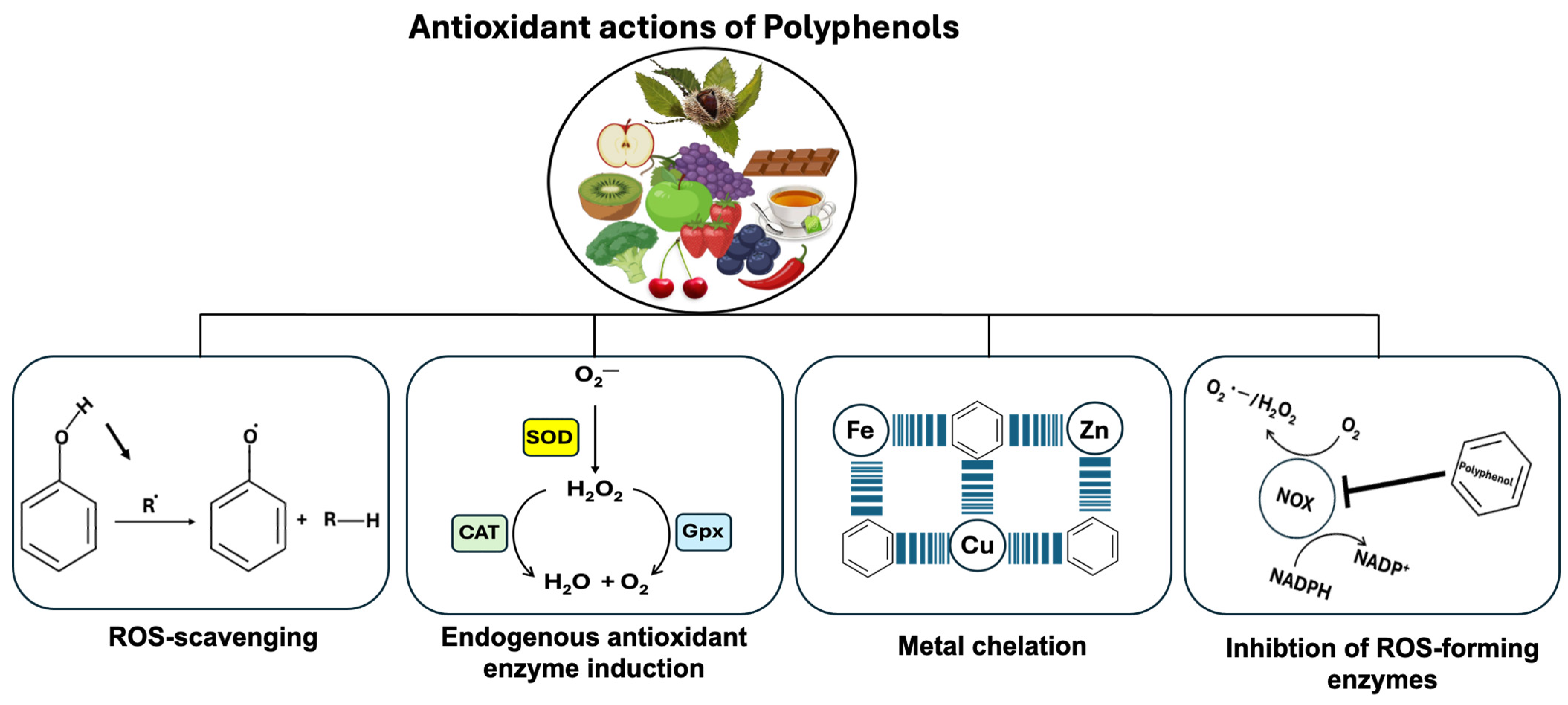 Microorganisms 12 01570 g005