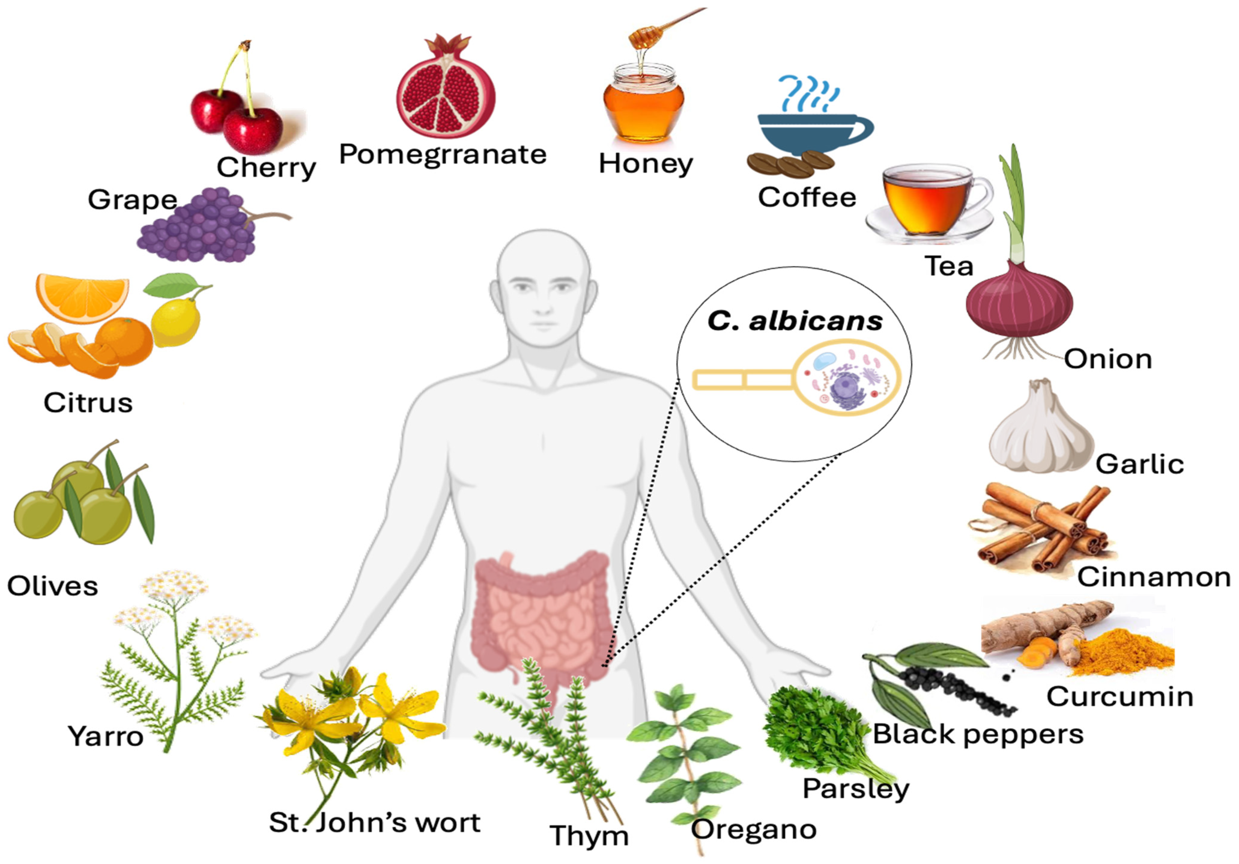 Microorganisms 12 01570 g006