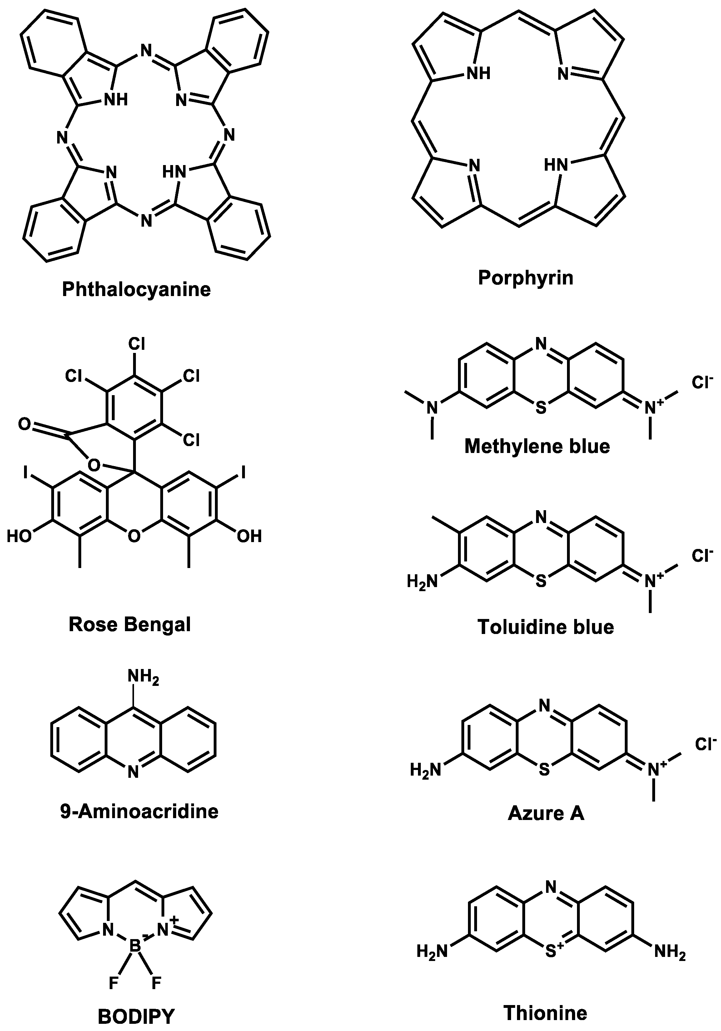 Microorganisms 12 01573 g002