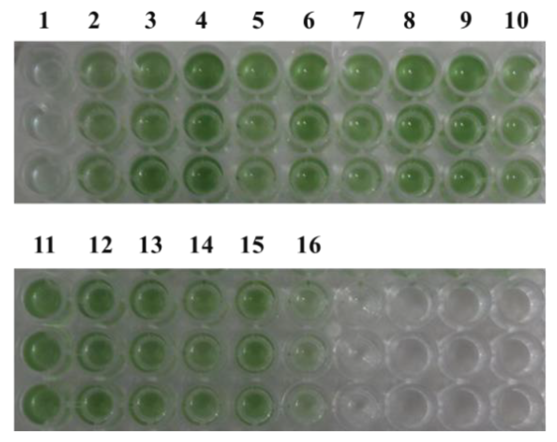 Microorganisms 12 01578 g003