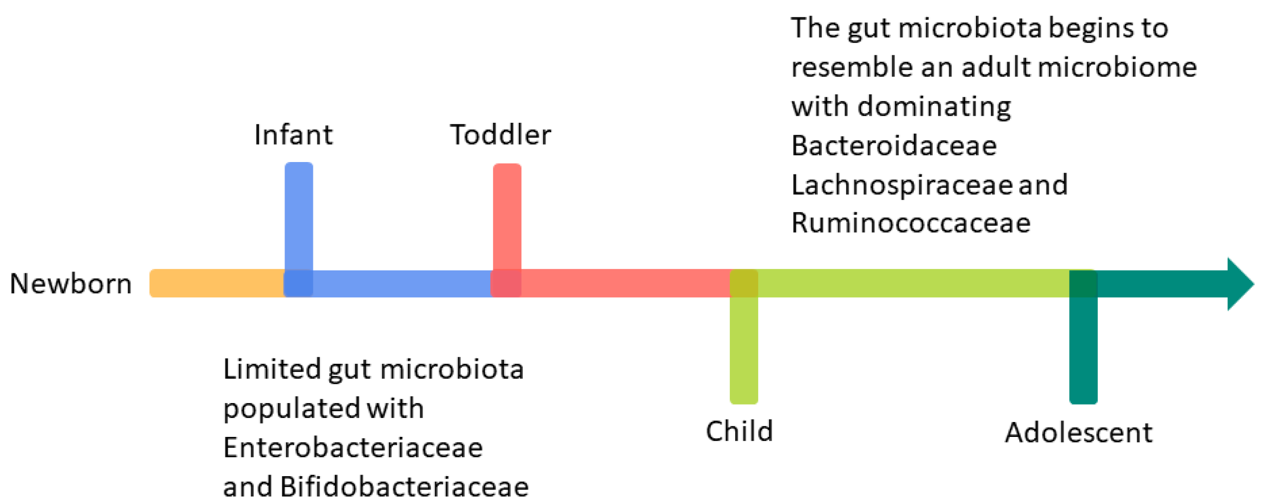 Microorganisms 12 01582 g003