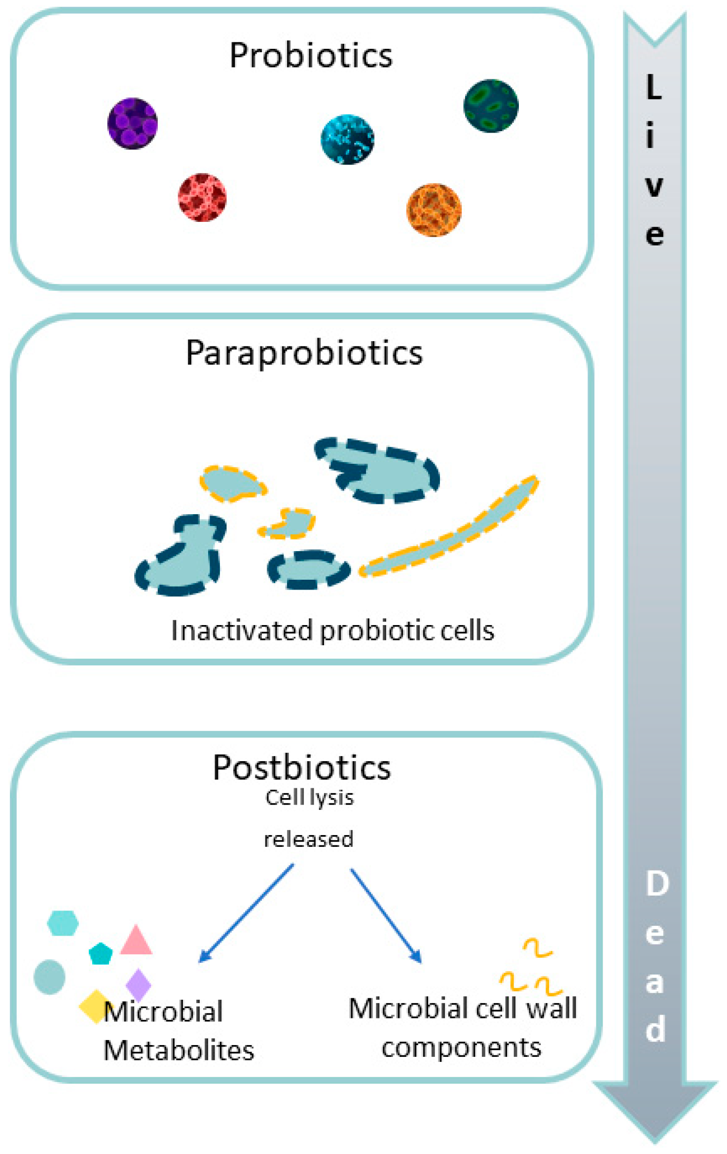 Microorganisms 12 01582 g006