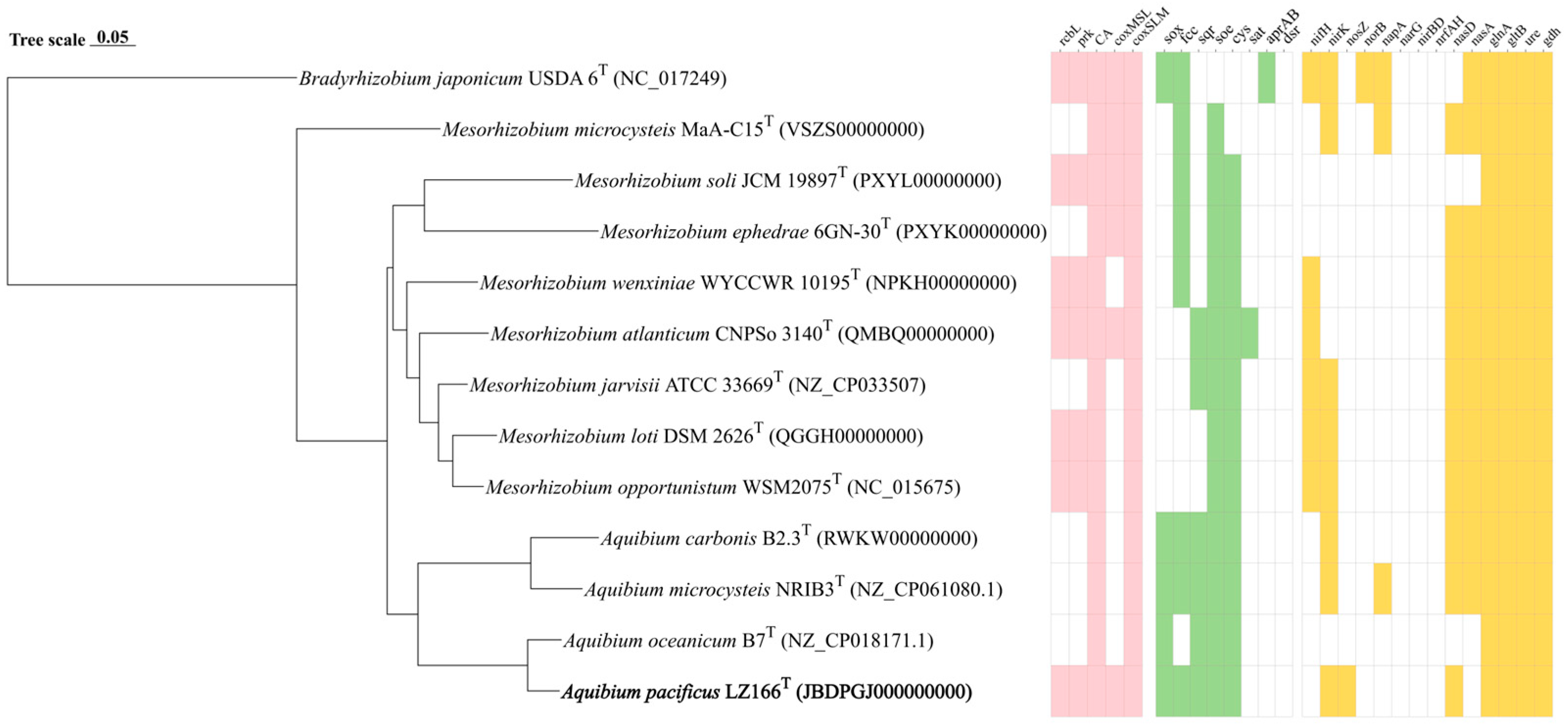 Microorganisms 12 01584 g002