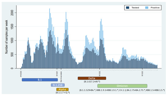 Microorganisms 12 01585 g004