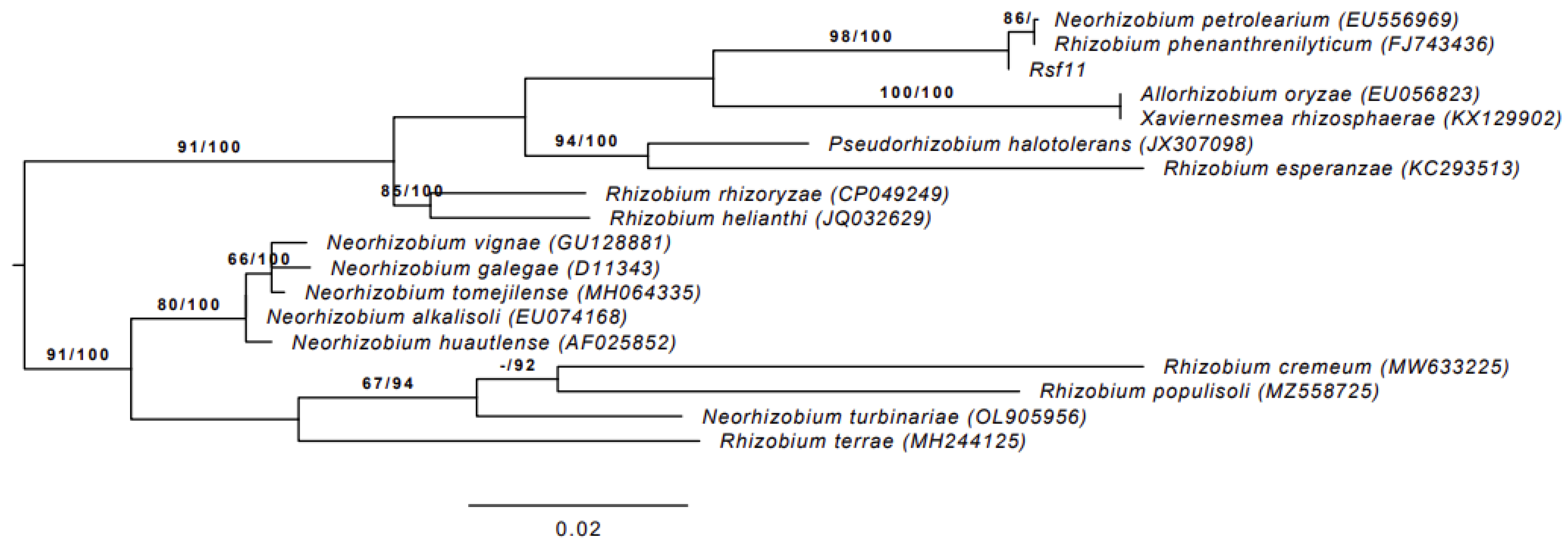 Microorganisms 12 01586 g001