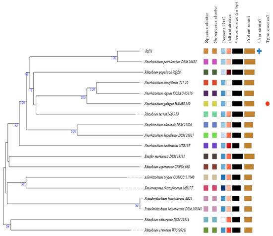 Microorganisms 12 01586 g002