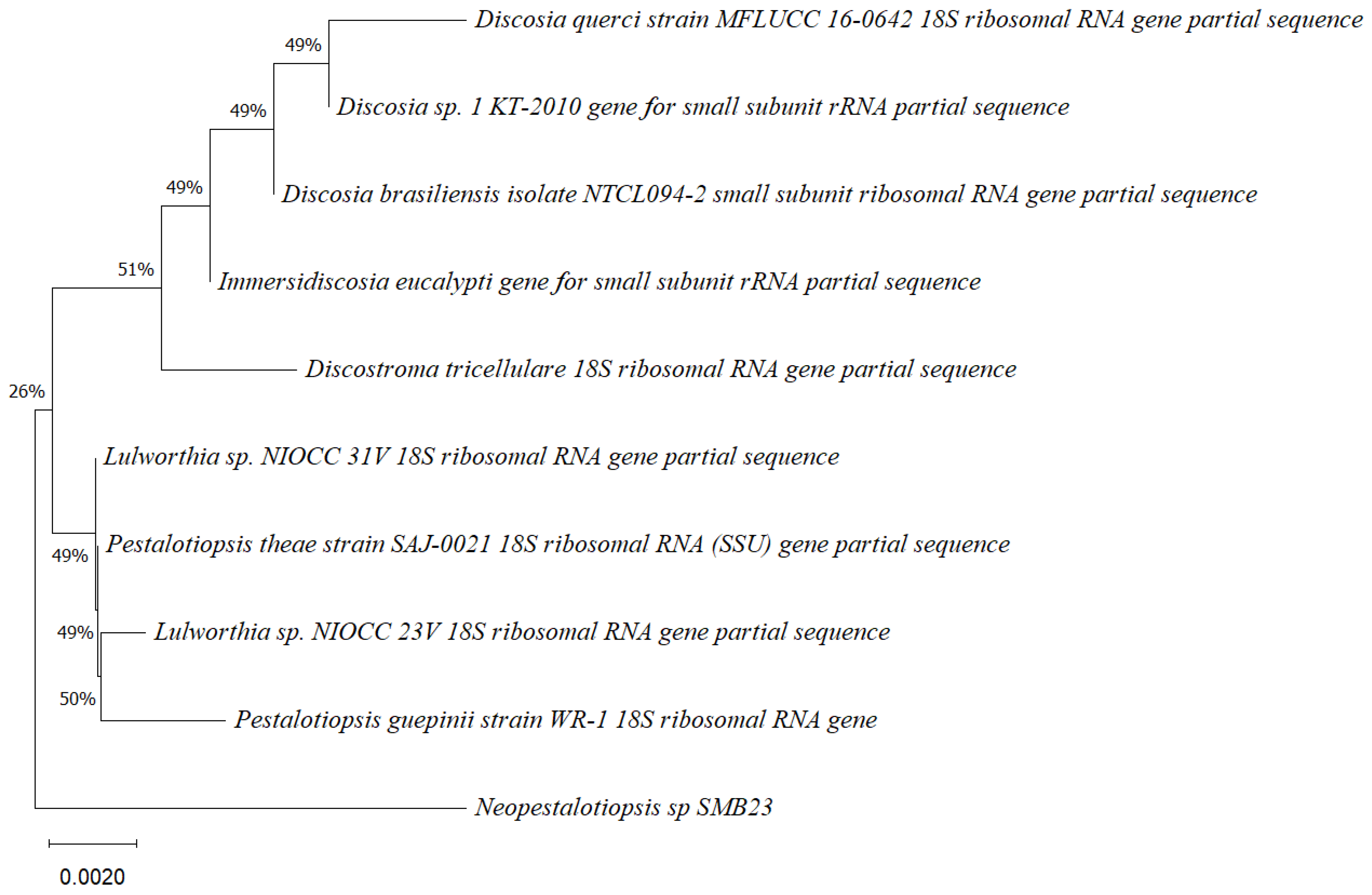 Microorganisms 12 01590 g002