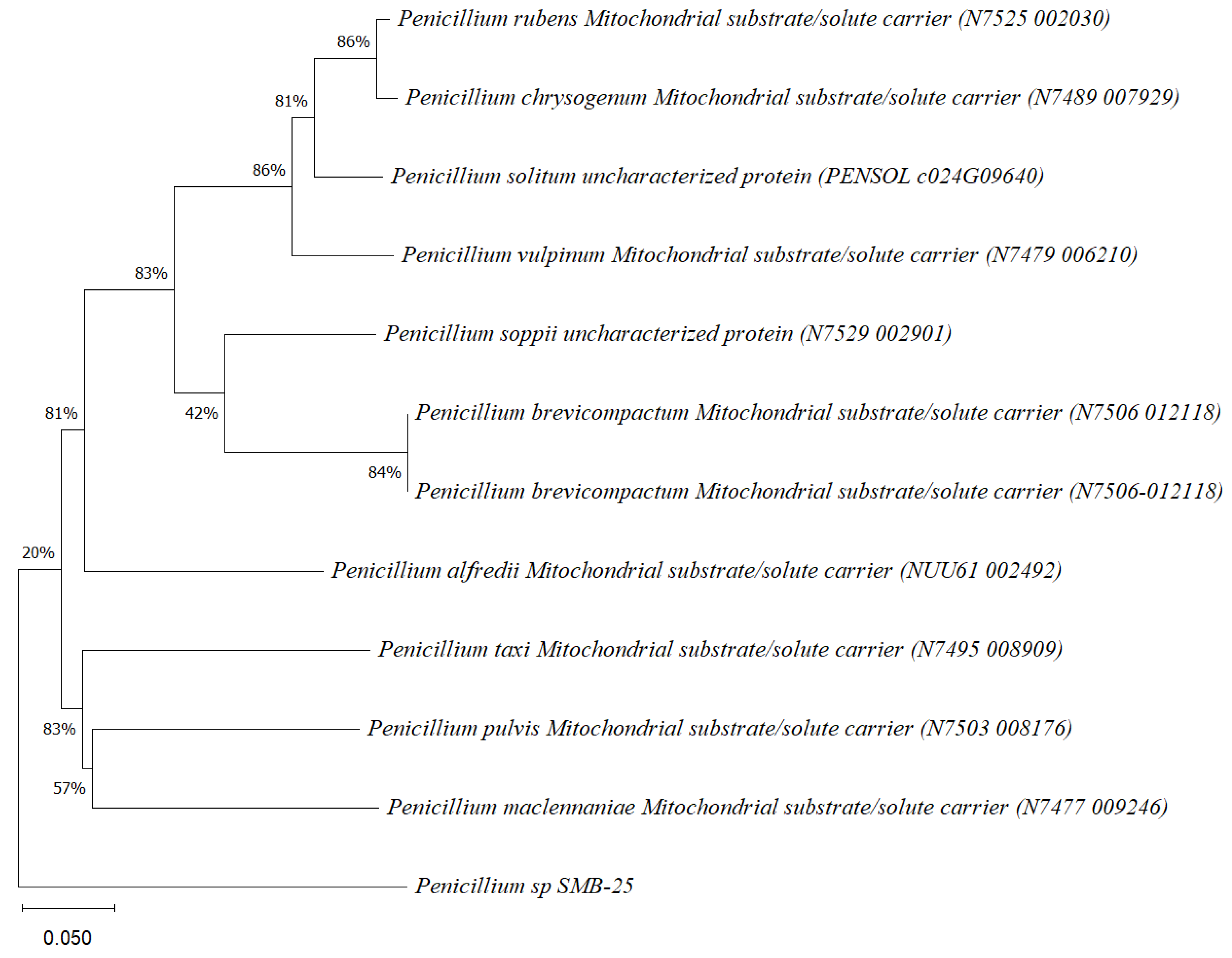Microorganisms 12 01590 g004