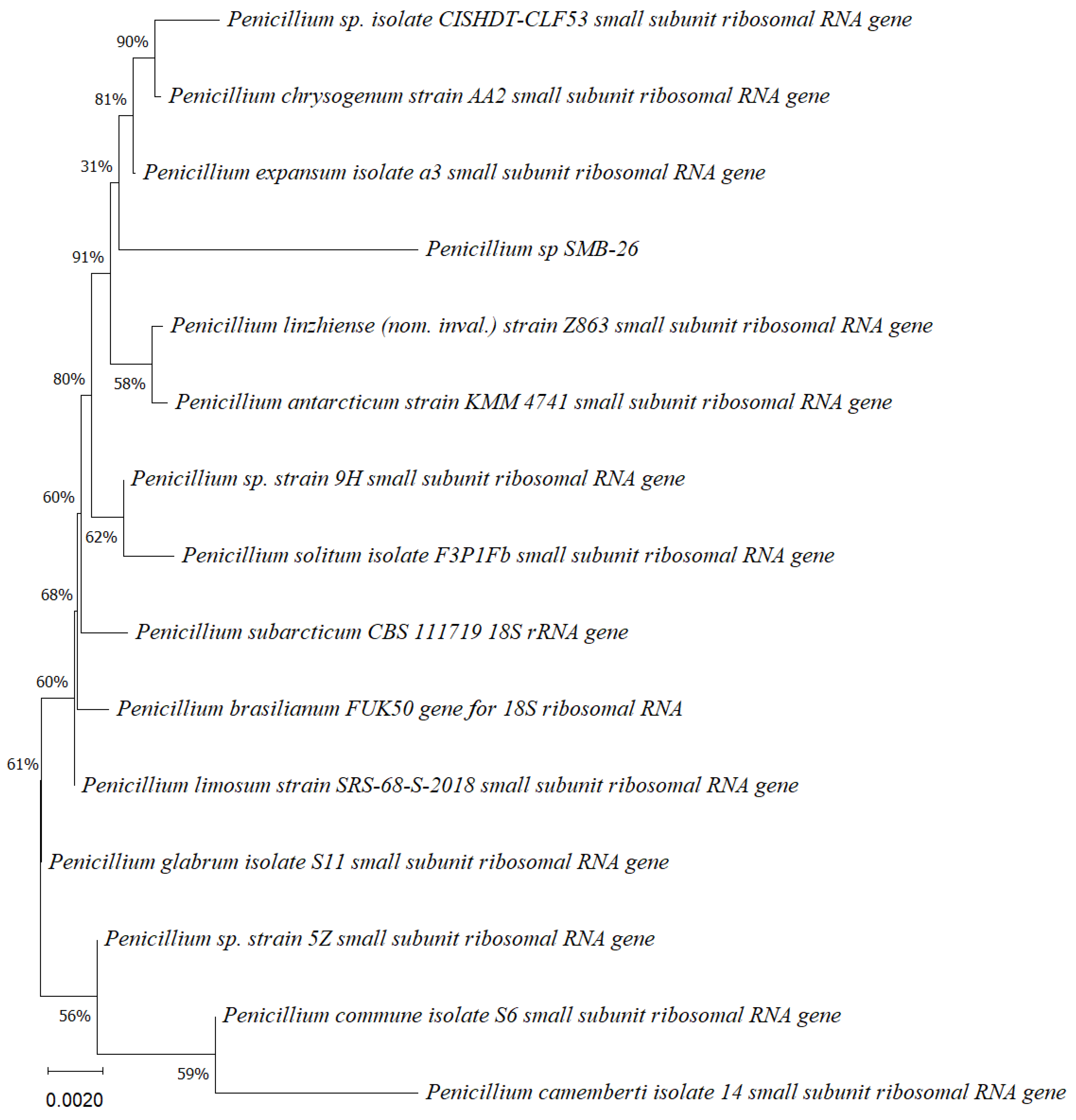 Microorganisms 12 01590 g005