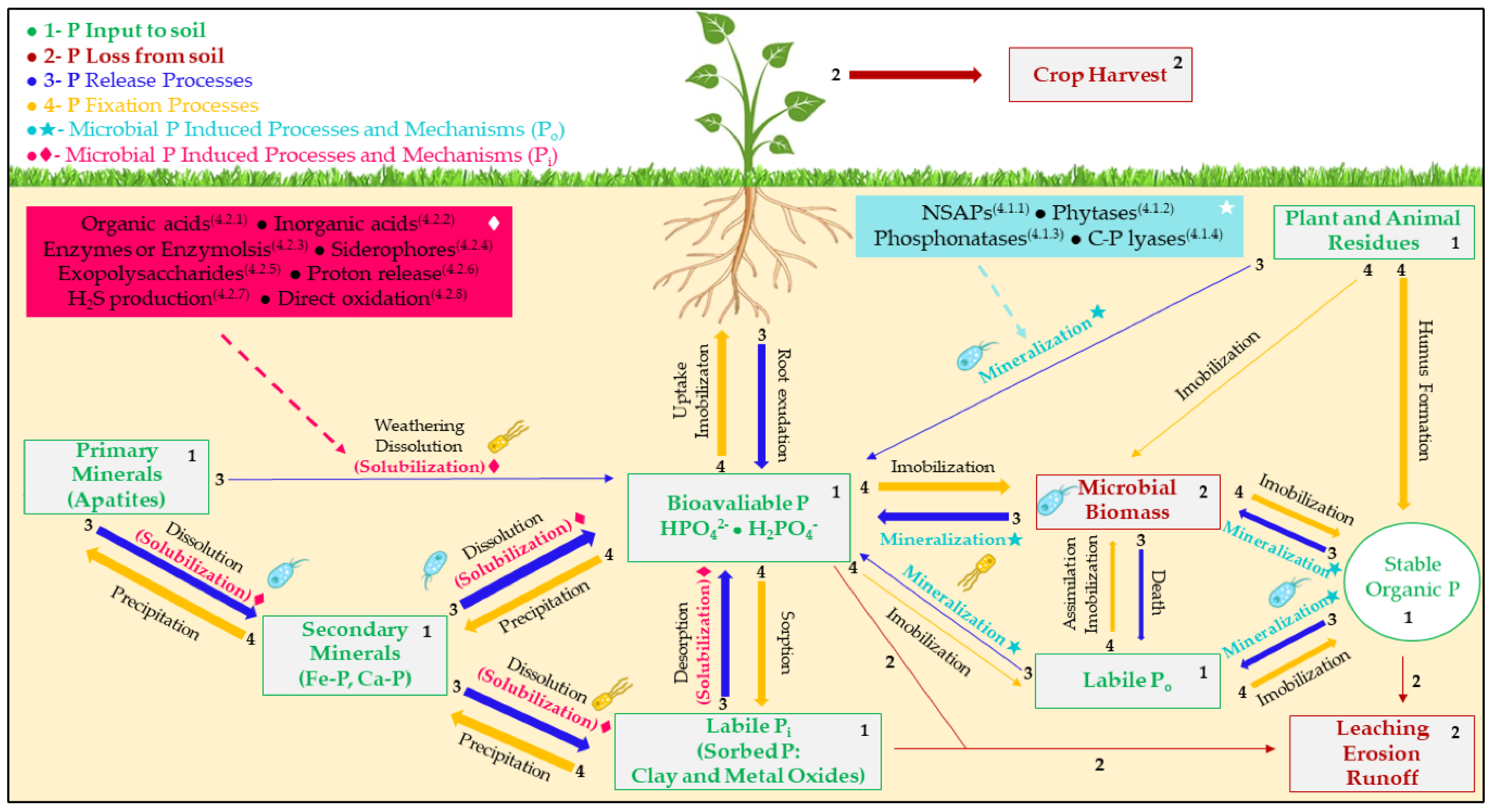 Microorganisms 12 01591 g015 Microorganisms 12 01591 g015