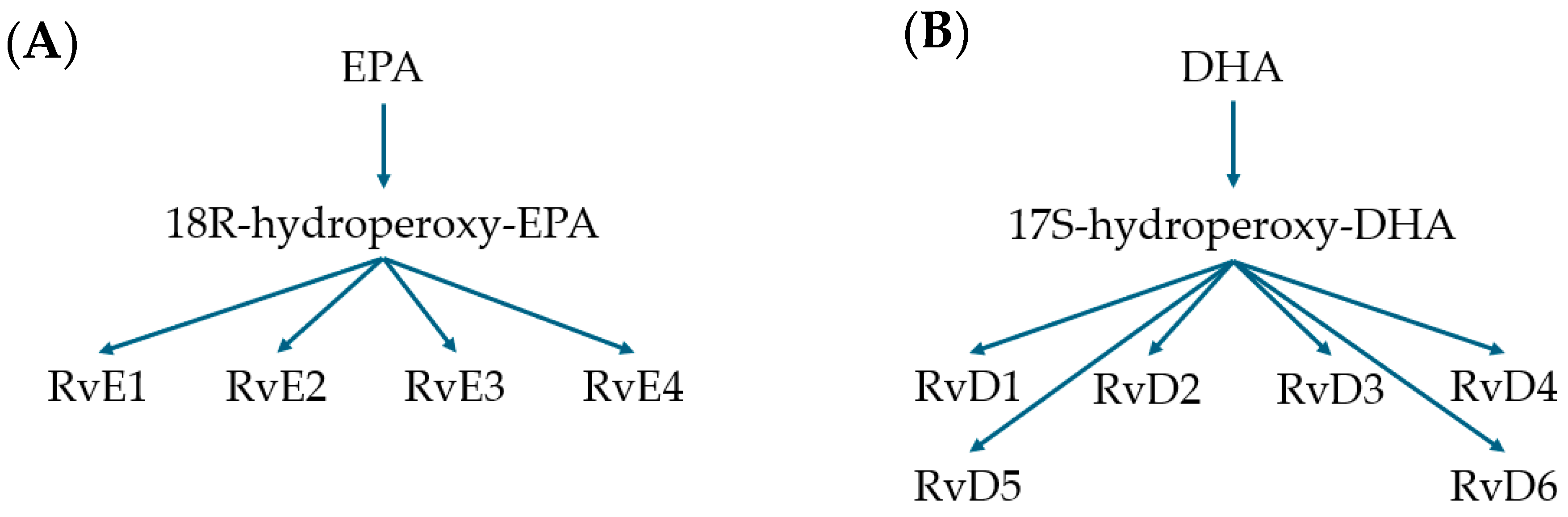 Microorganisms 12 01593 g001 Microorganisms 12 01593 g001