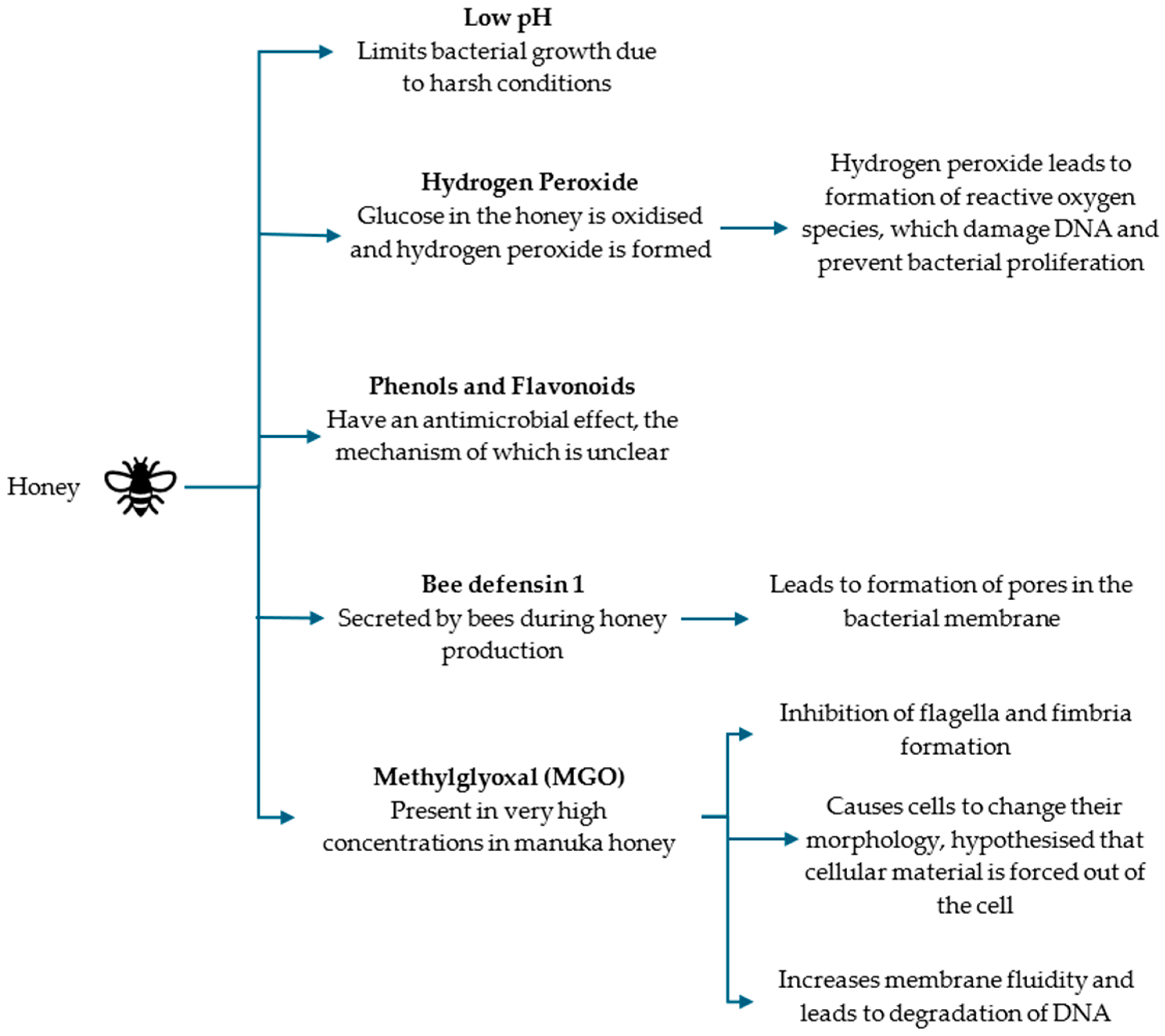 Microorganisms 12 01593 g003 Microorganisms 12 01593 g003