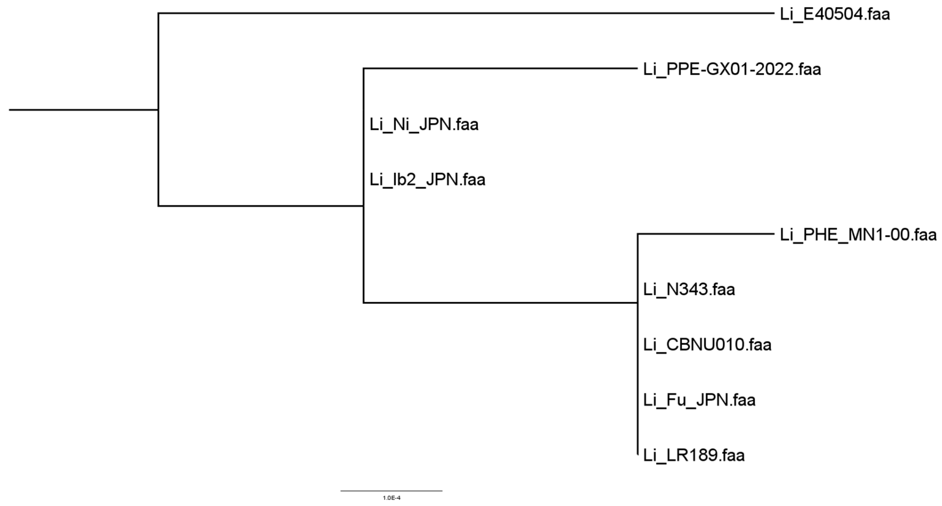 Microorganisms 12 01596 g006