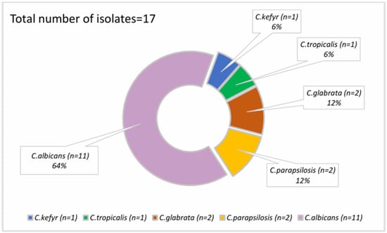 Microorganisms 12 01597 g001