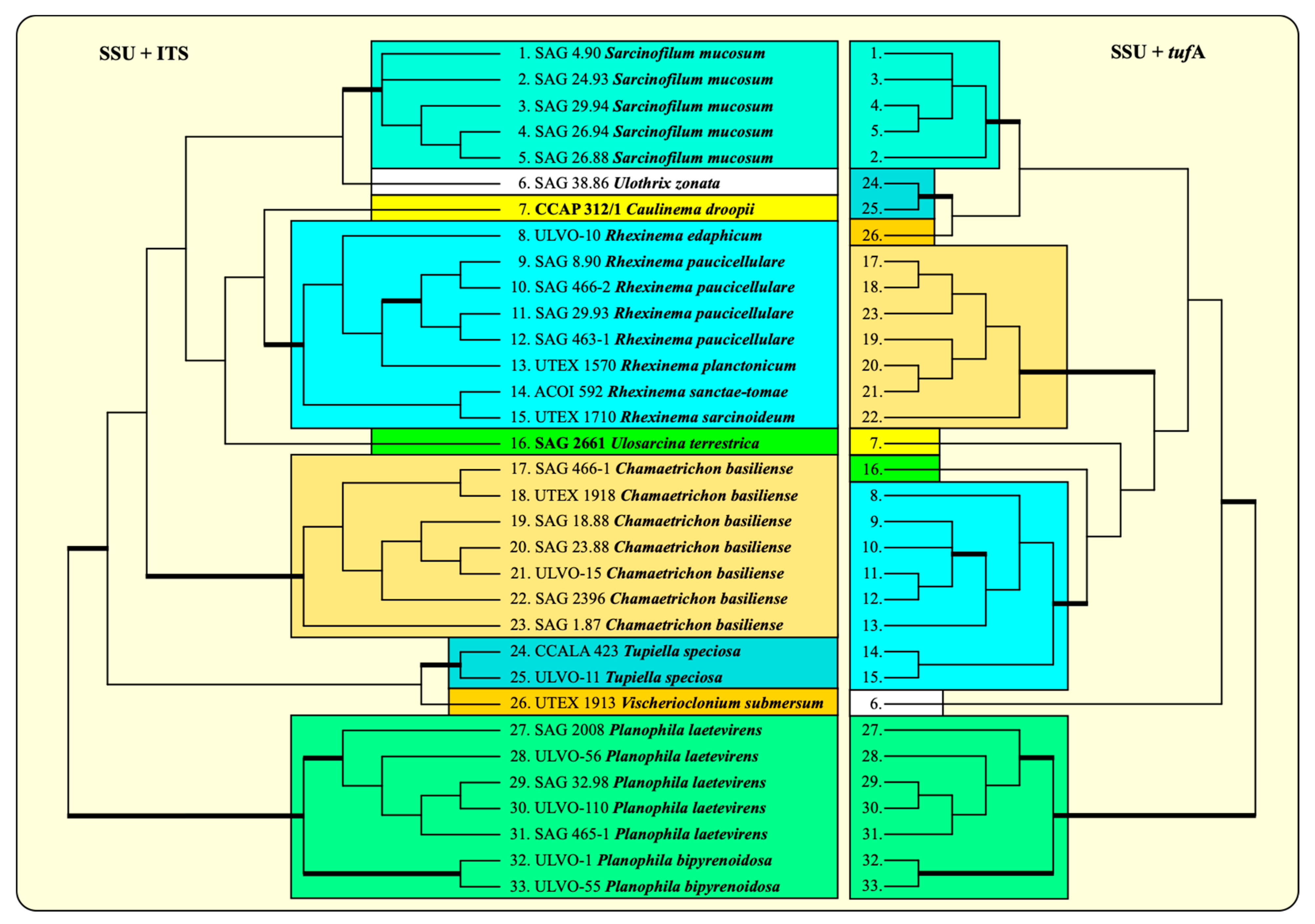 Microorganisms 12 01604 g008