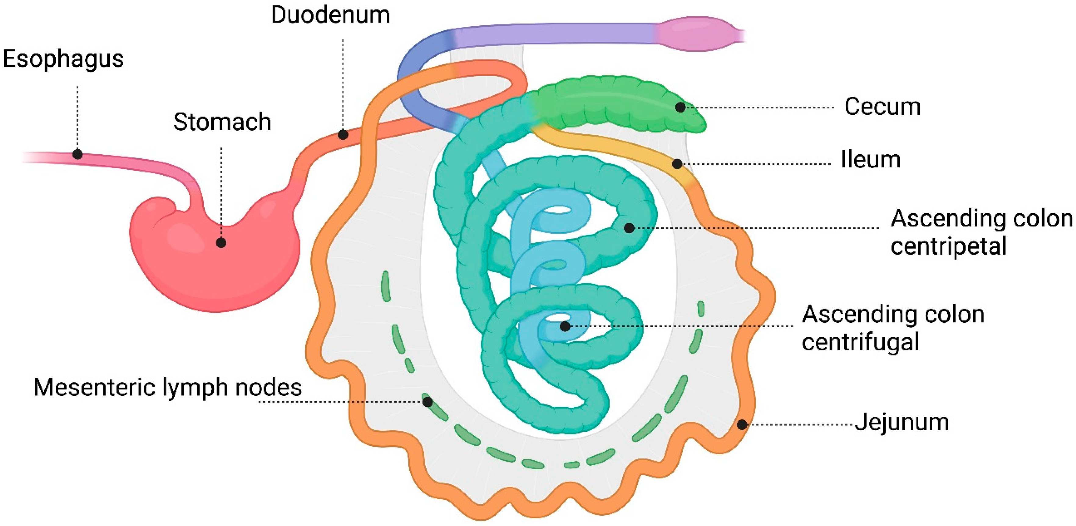 Microorganisms 12 01606 g001