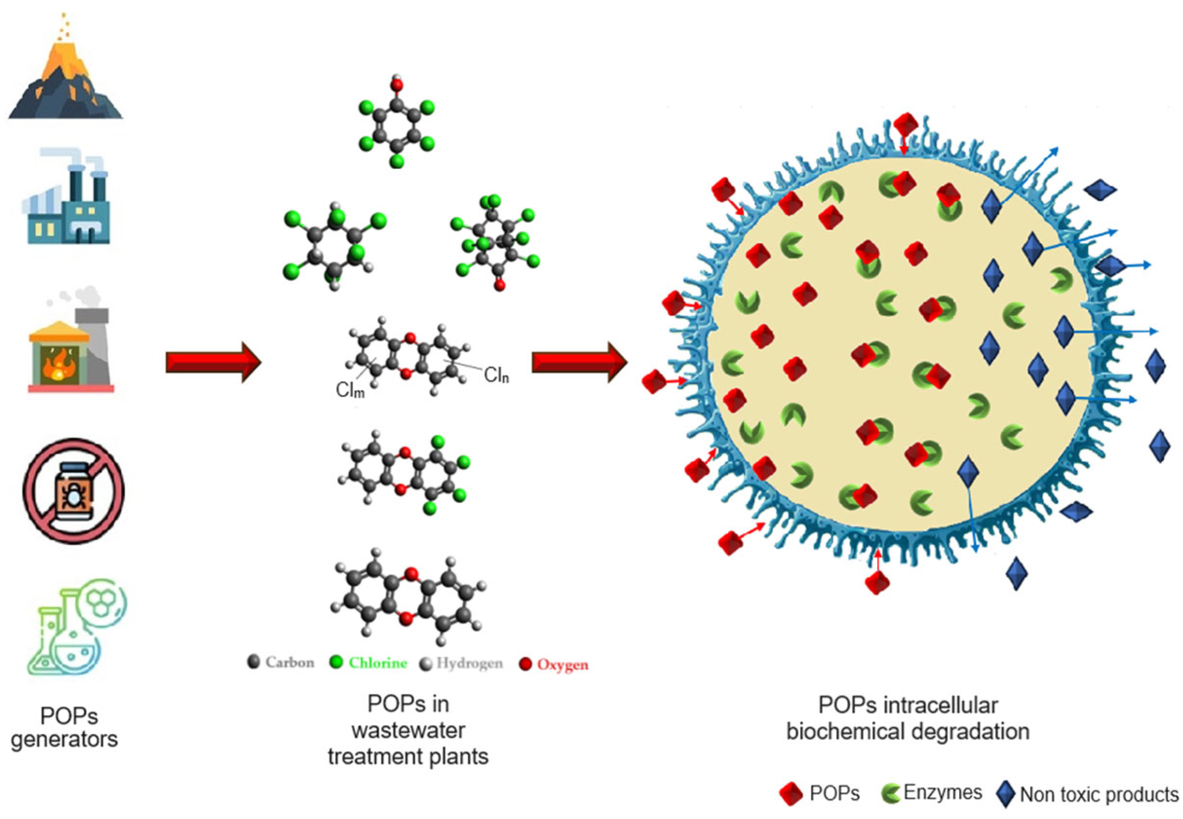 Microorganisms 12 01632 g002
