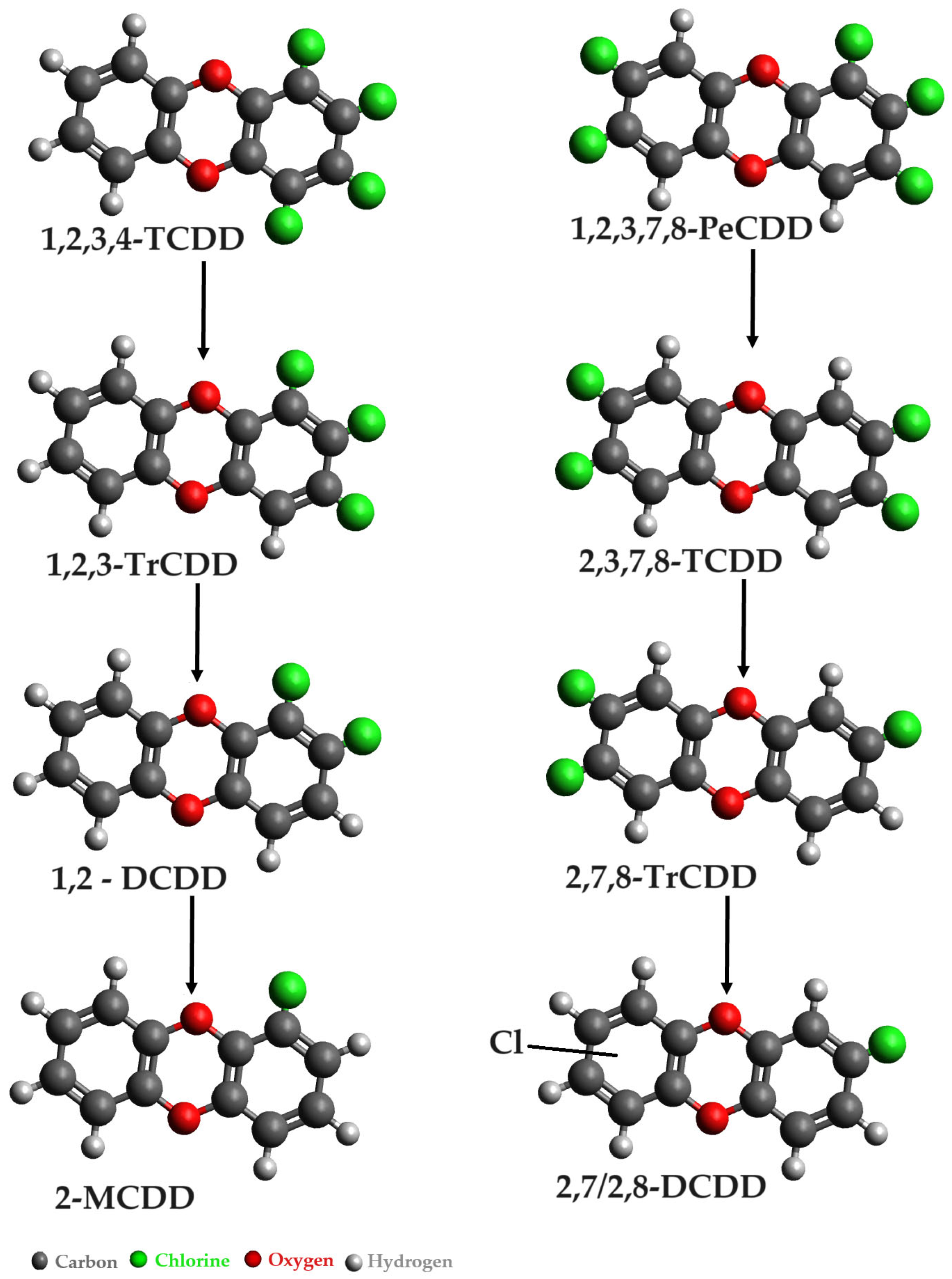 Microorganisms 12 01632 g006