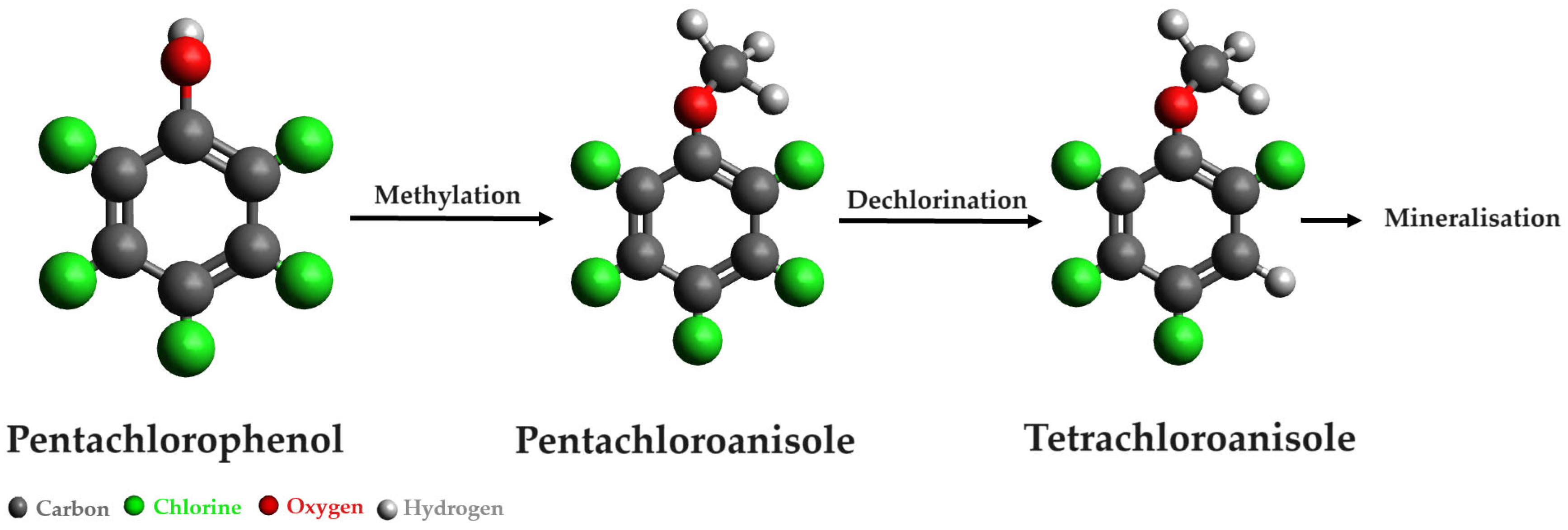 Microorganisms 12 01632 g007