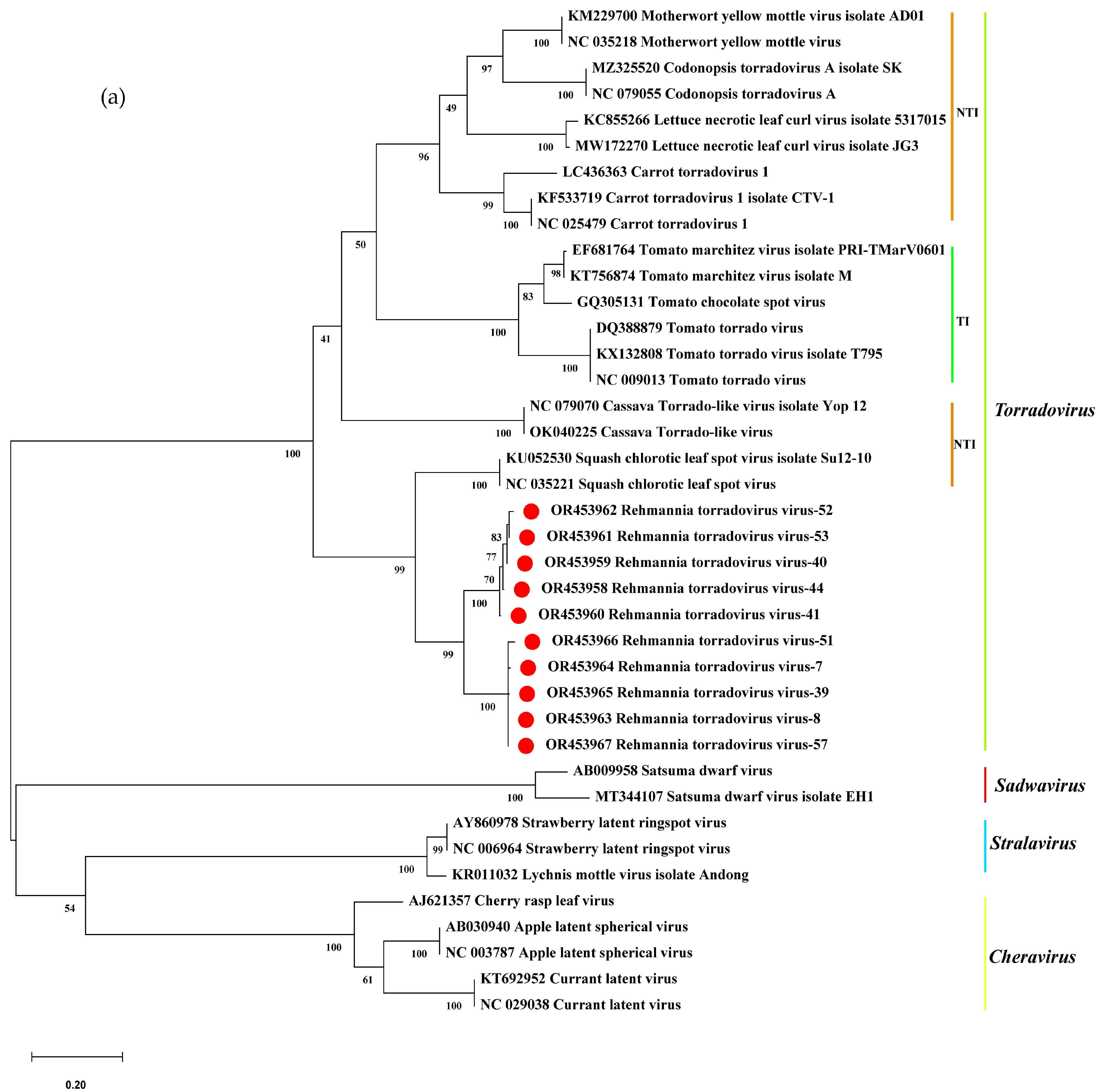Microorganisms 12 01643 g004a Microorganisms 12 01643 g004a