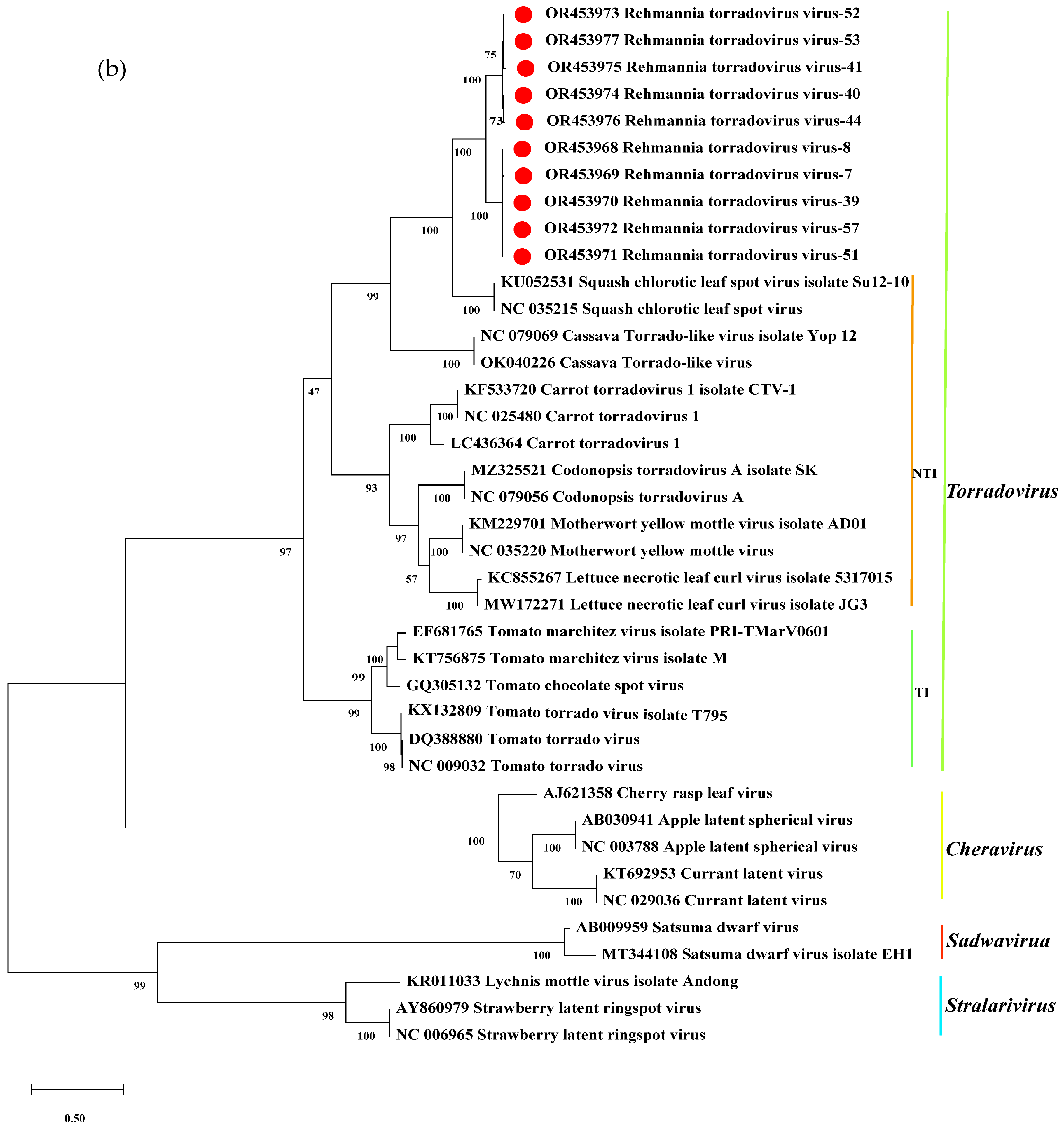 Microorganisms 12 01643 g004b Microorganisms 12 01643 g004b