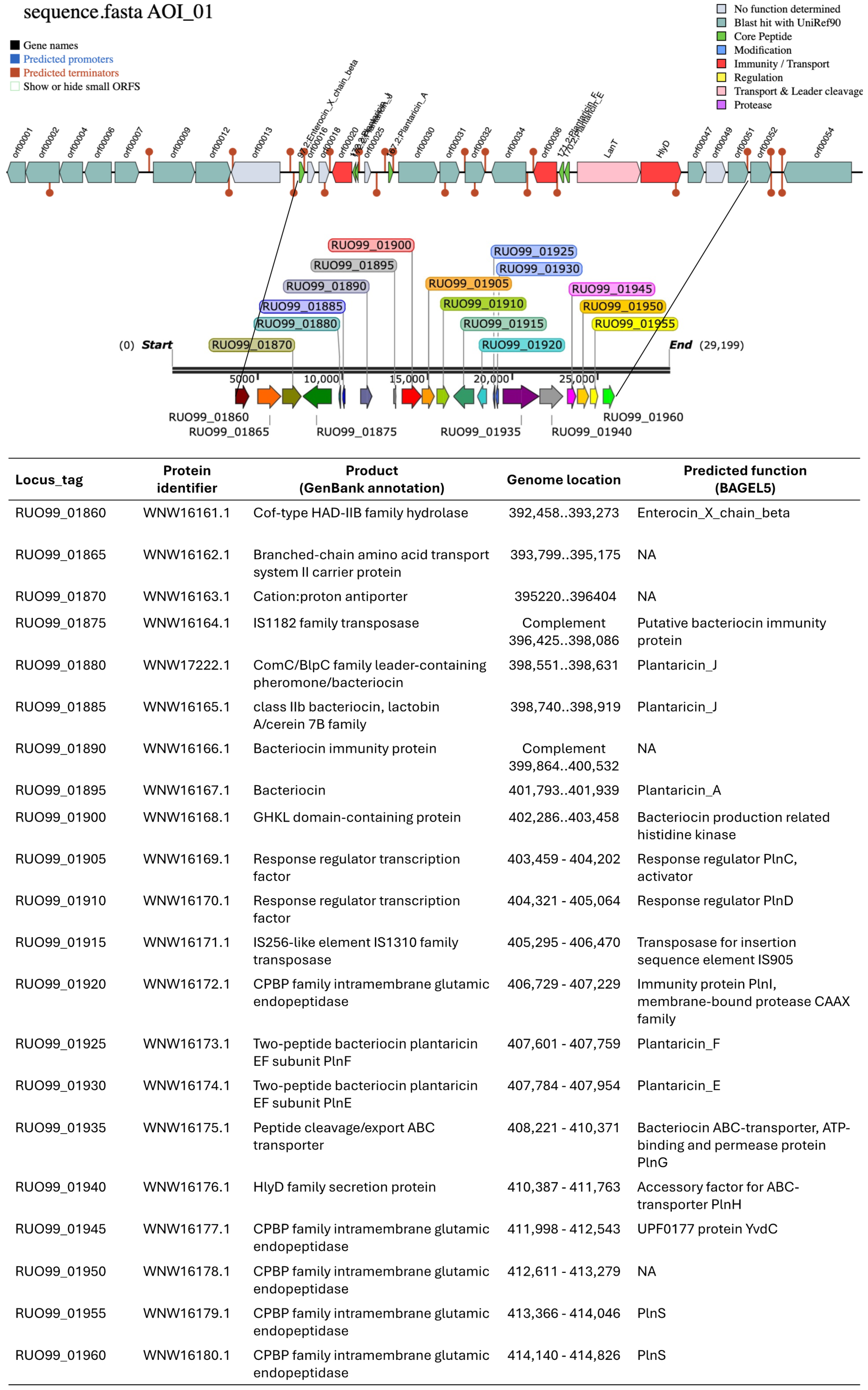 Microorganisms 12 01652 g002